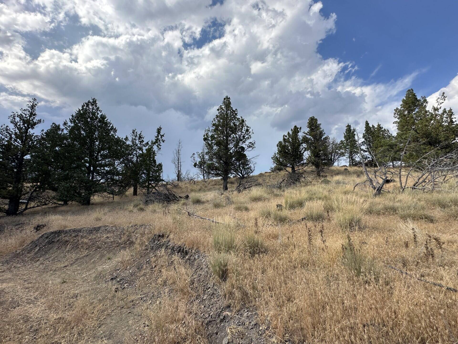 Prineville, OR 97754,TL 608 Simpson RD