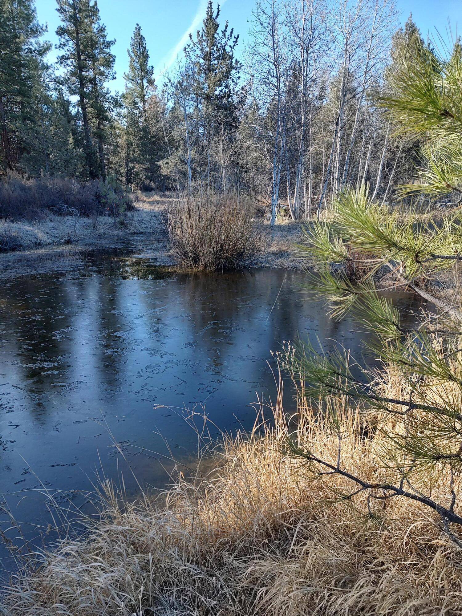 Sprague River, OR 97639,23615 Bliss RD