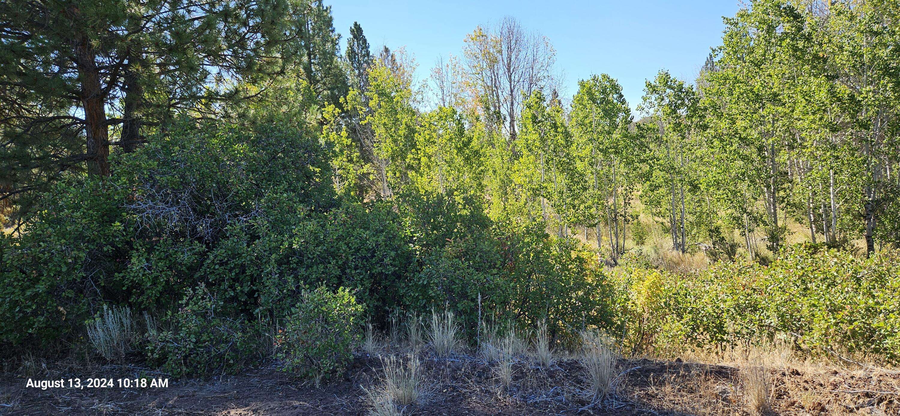 Chiloquin, OR 97624,Lot 7800 Forest View DR