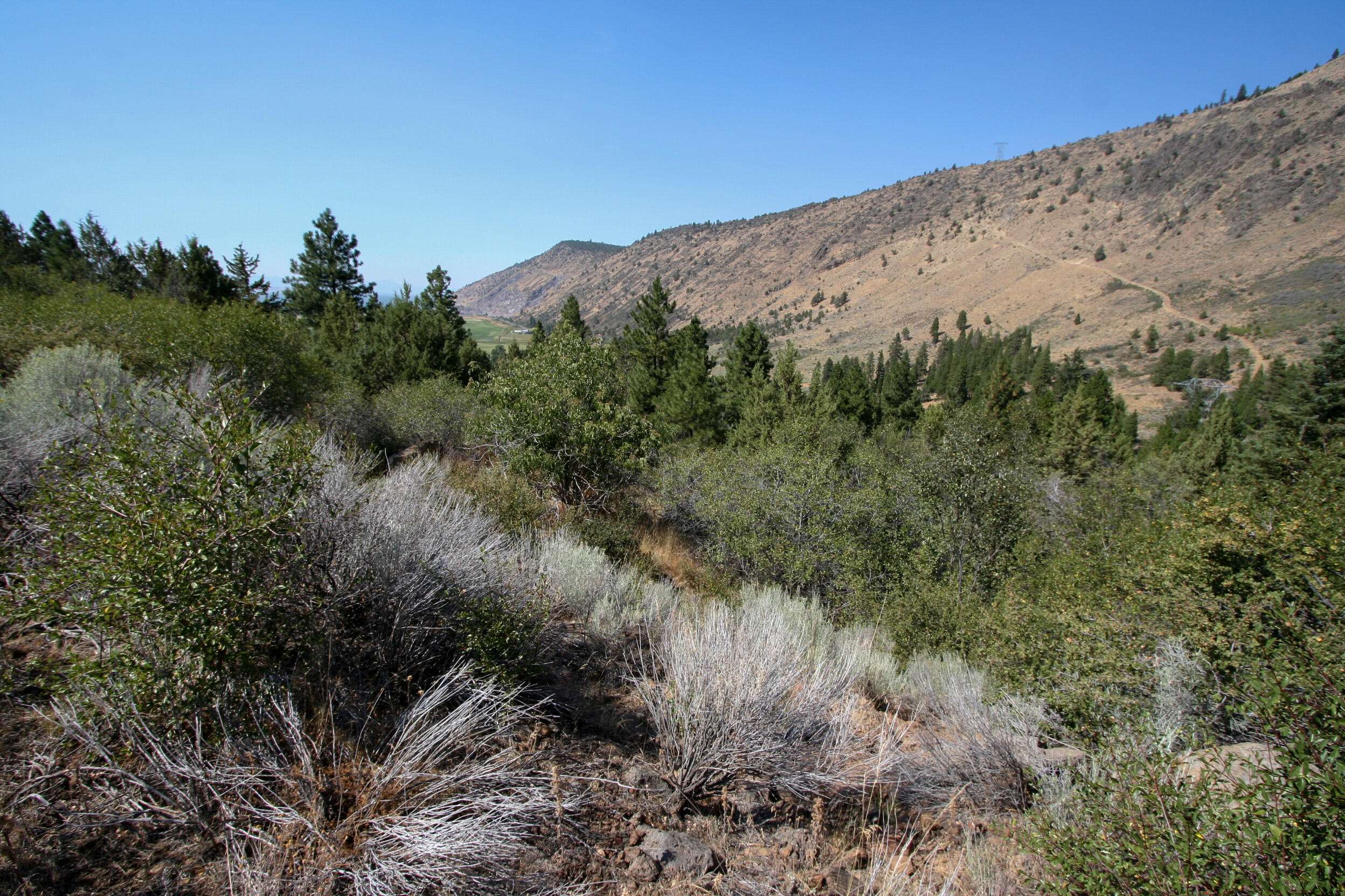 Klamath Falls, OR 97601,Lot 9 Troubador Trail