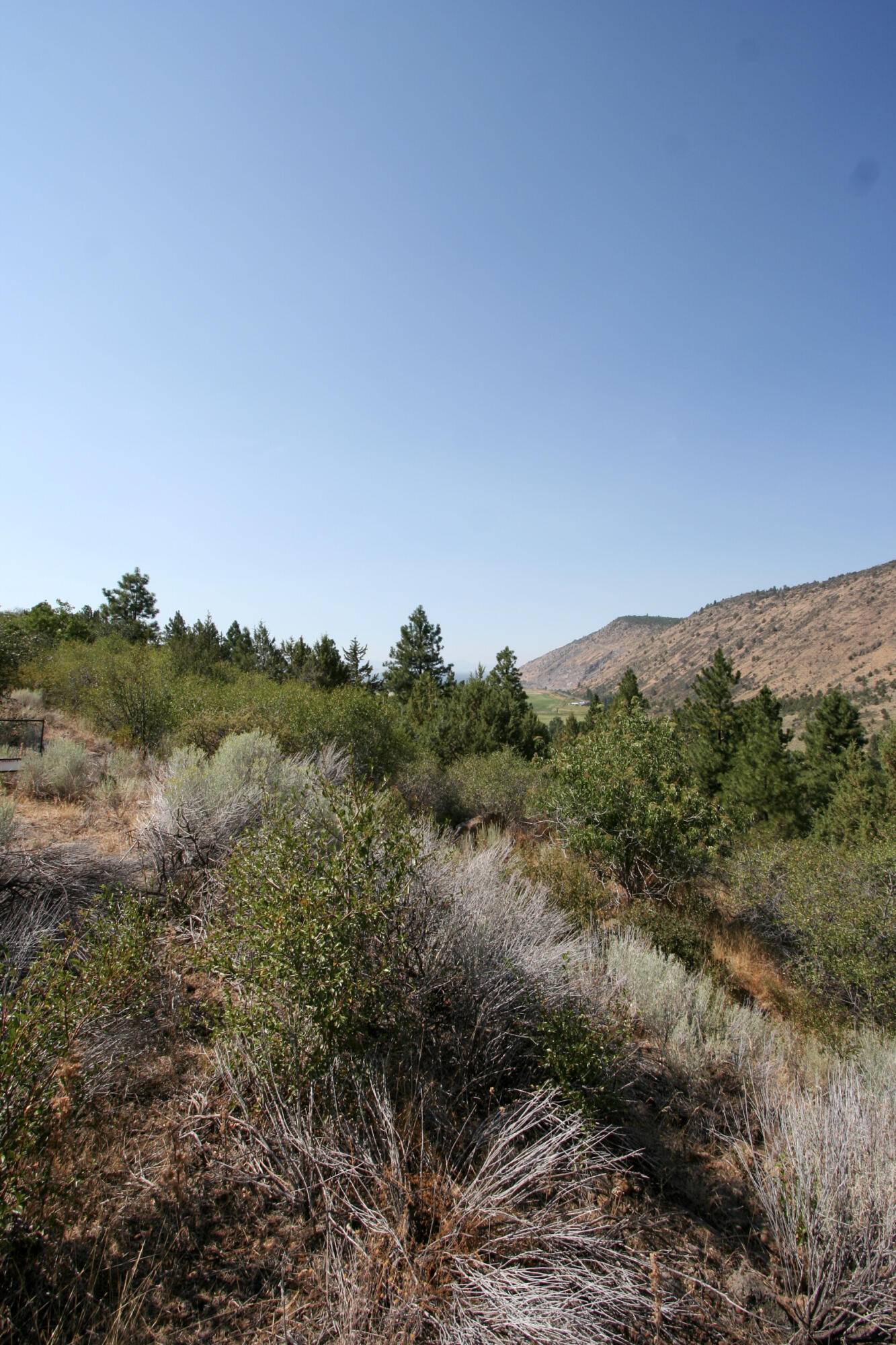 Klamath Falls, OR 97601,Lot 9 Troubador Trail