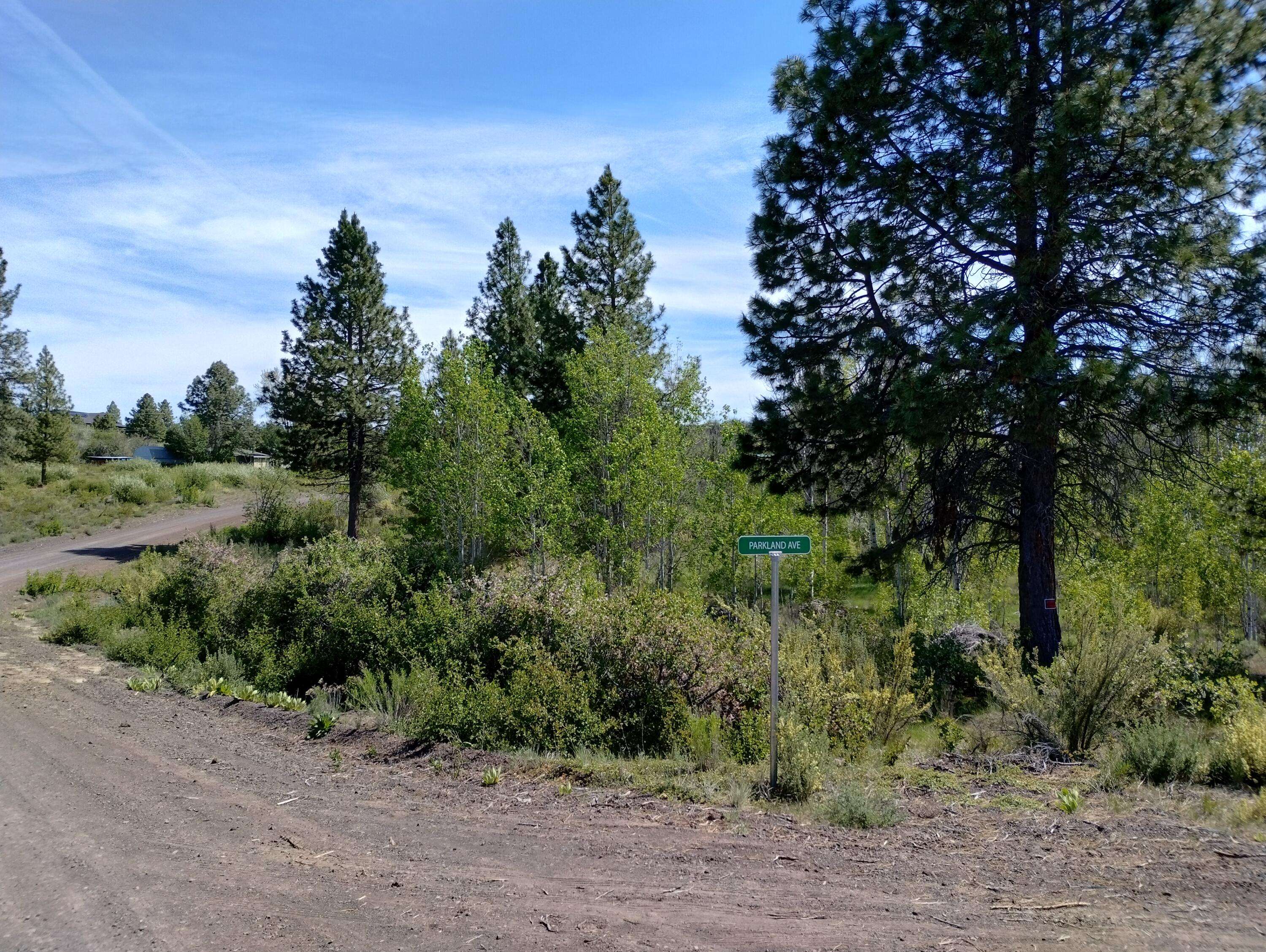 Sprague River, OR 97639,Lot 9 Canadian Honker LN