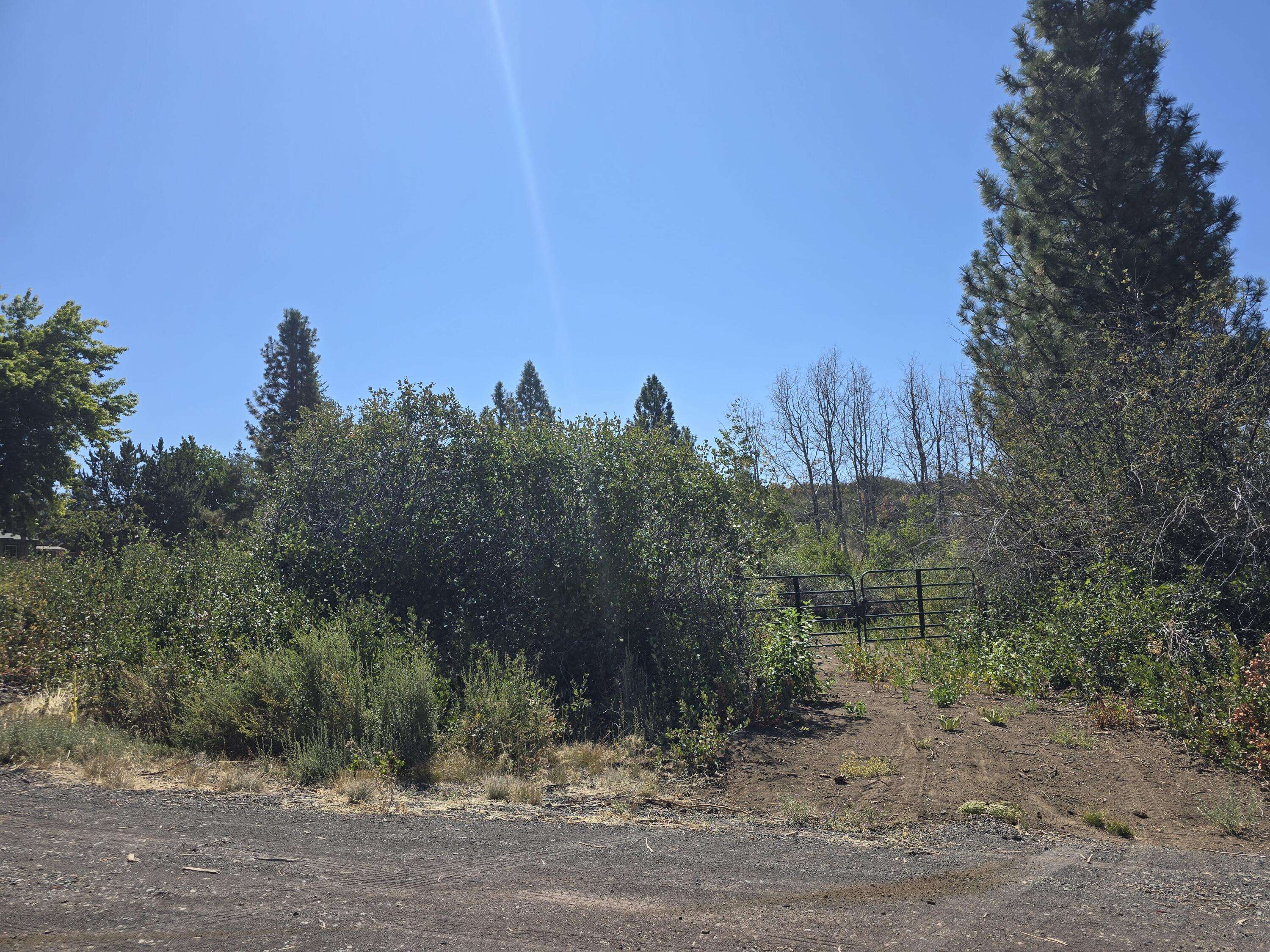 Chiloquin, OR 97624,1900 Forest View DR #15