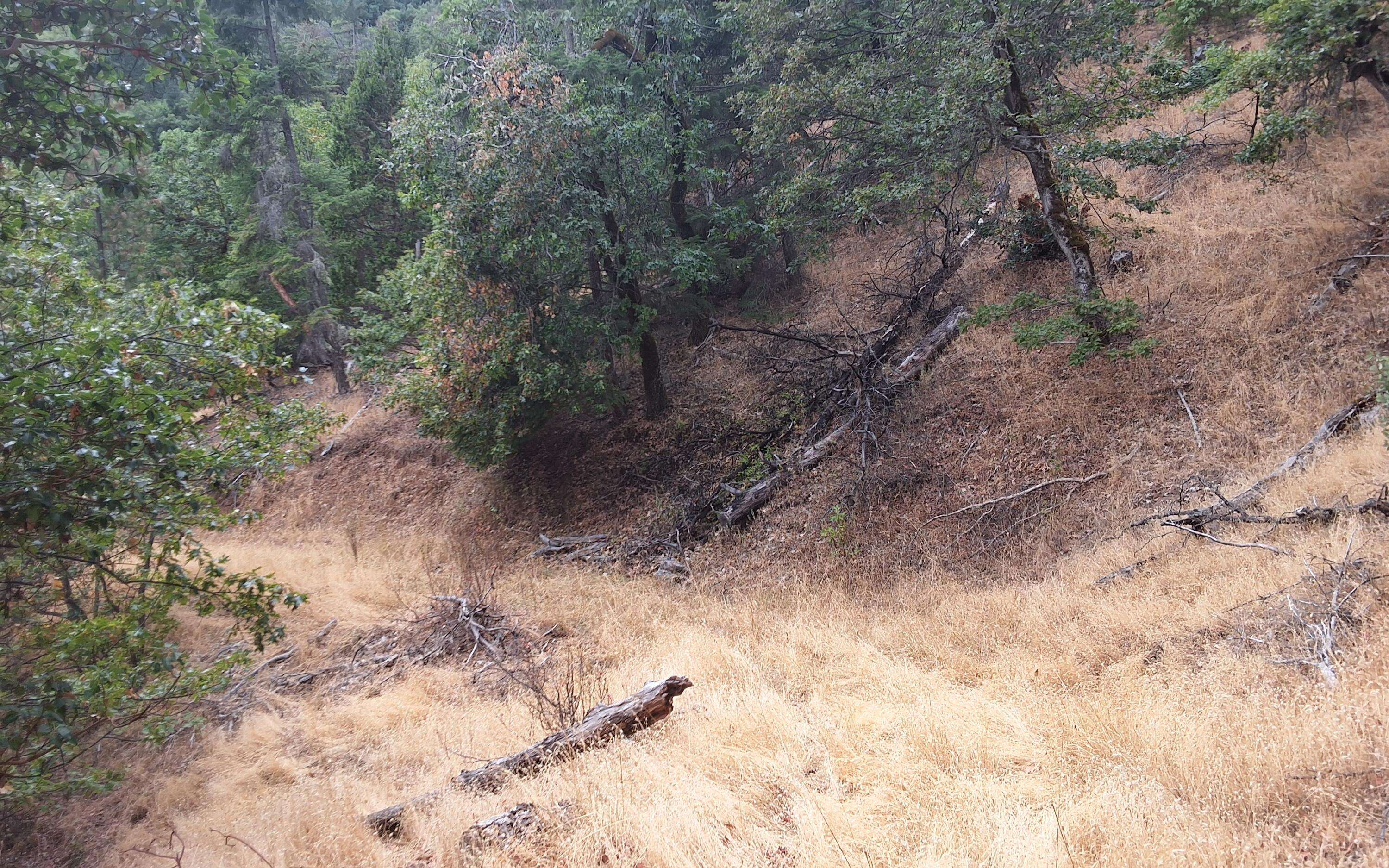 Central Point, OR 97502,Galls Creek RD #300