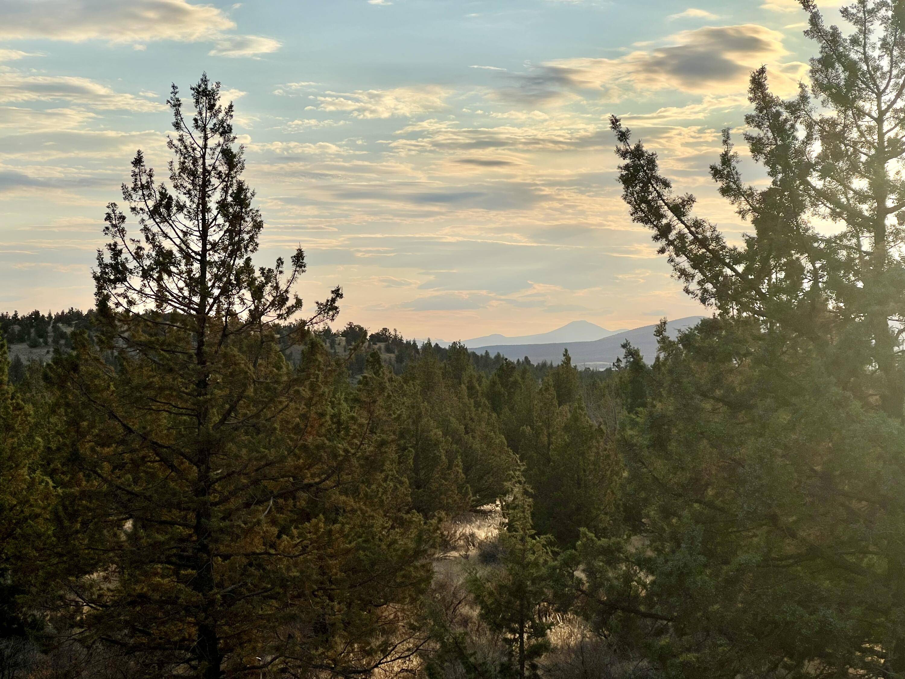 Prineville, OR 97754,0 indian LN #161609D0-00100