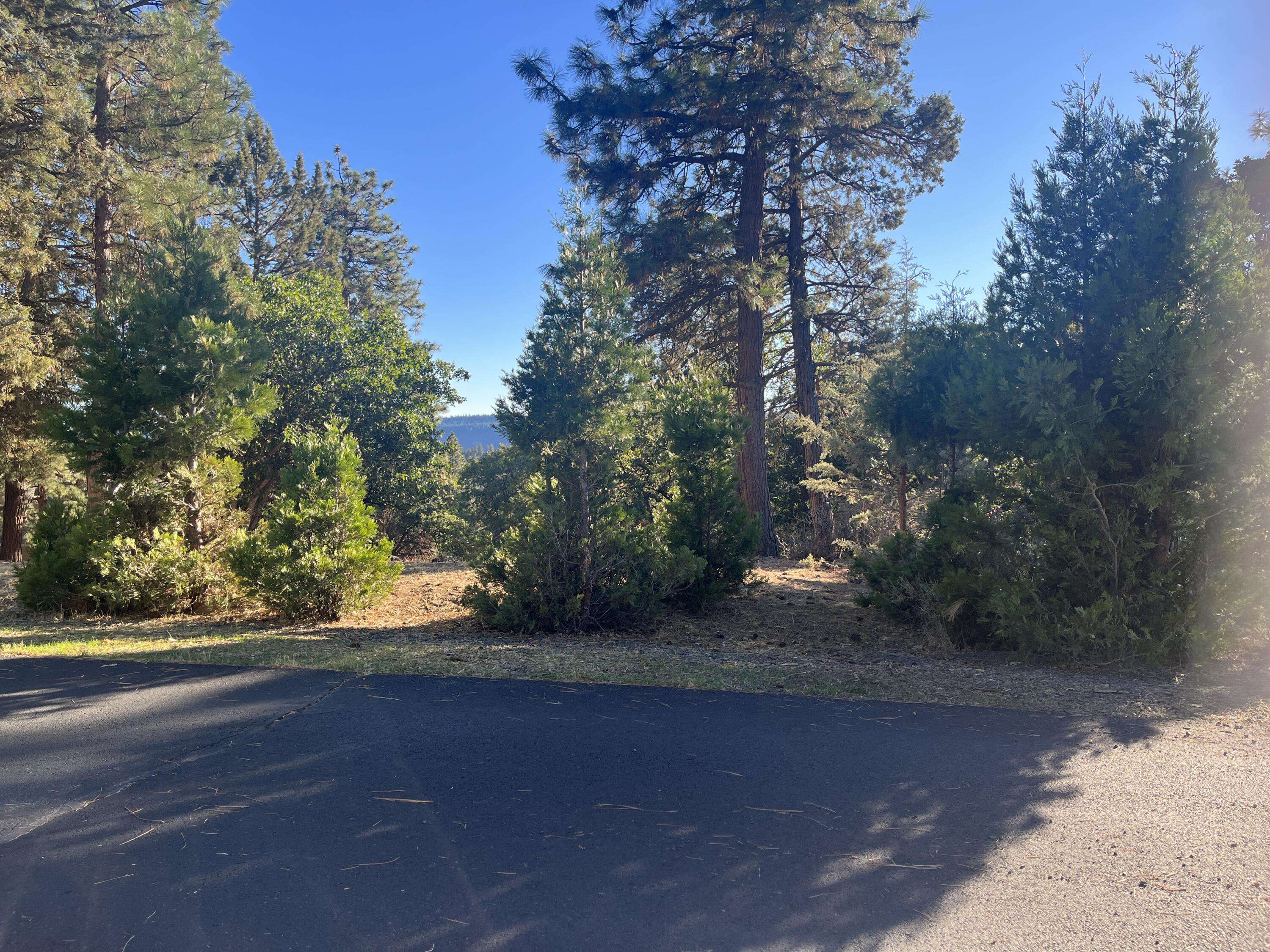 Klamath Falls, OR 97601,Lot 23 Kestrel RD
