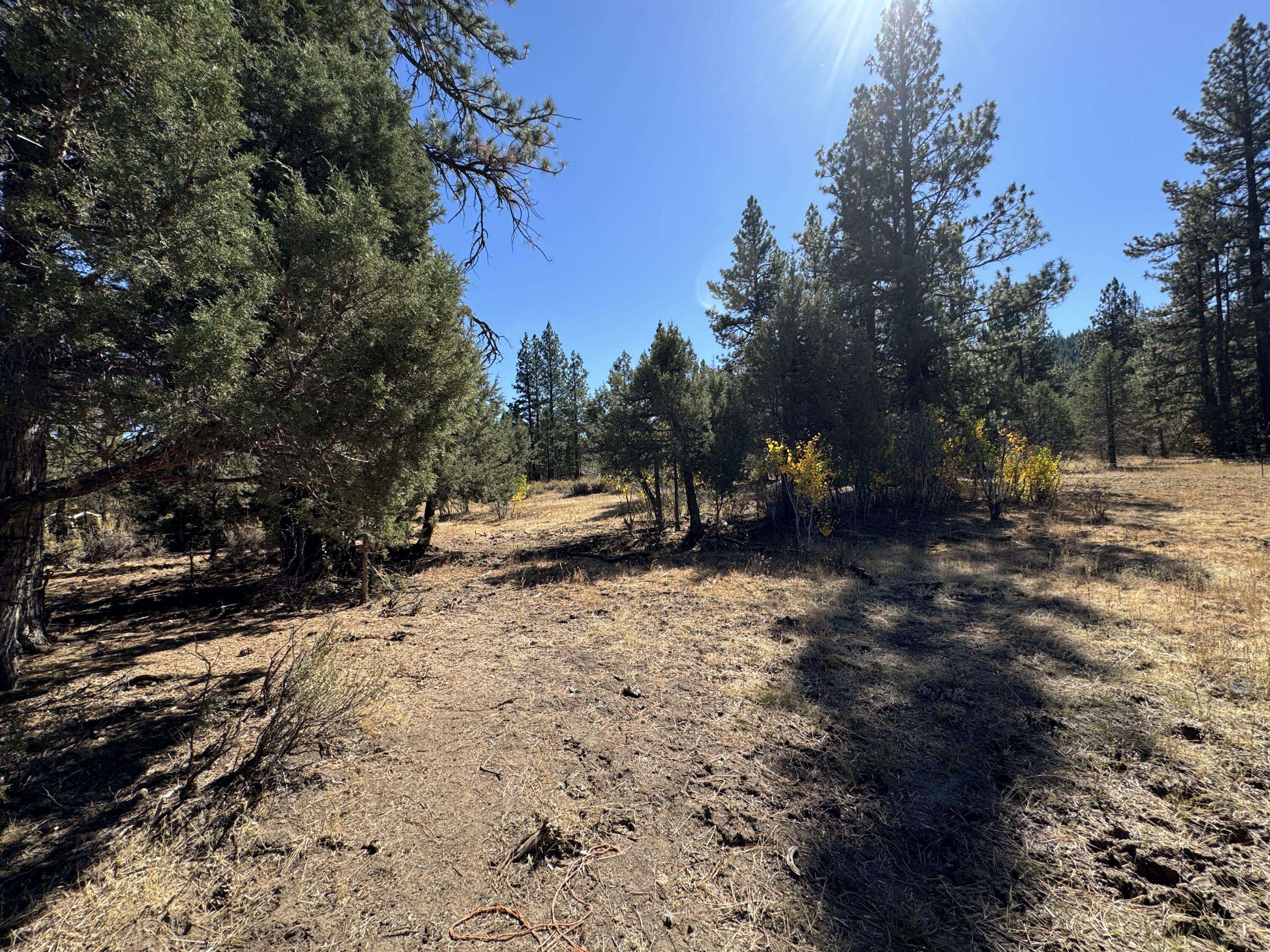 Bonanza, OR 97623,Lot 12 Whitetail LN