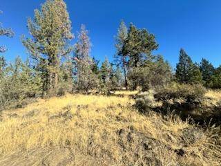Bonanza, OR 97623,0 Seagull DR #3