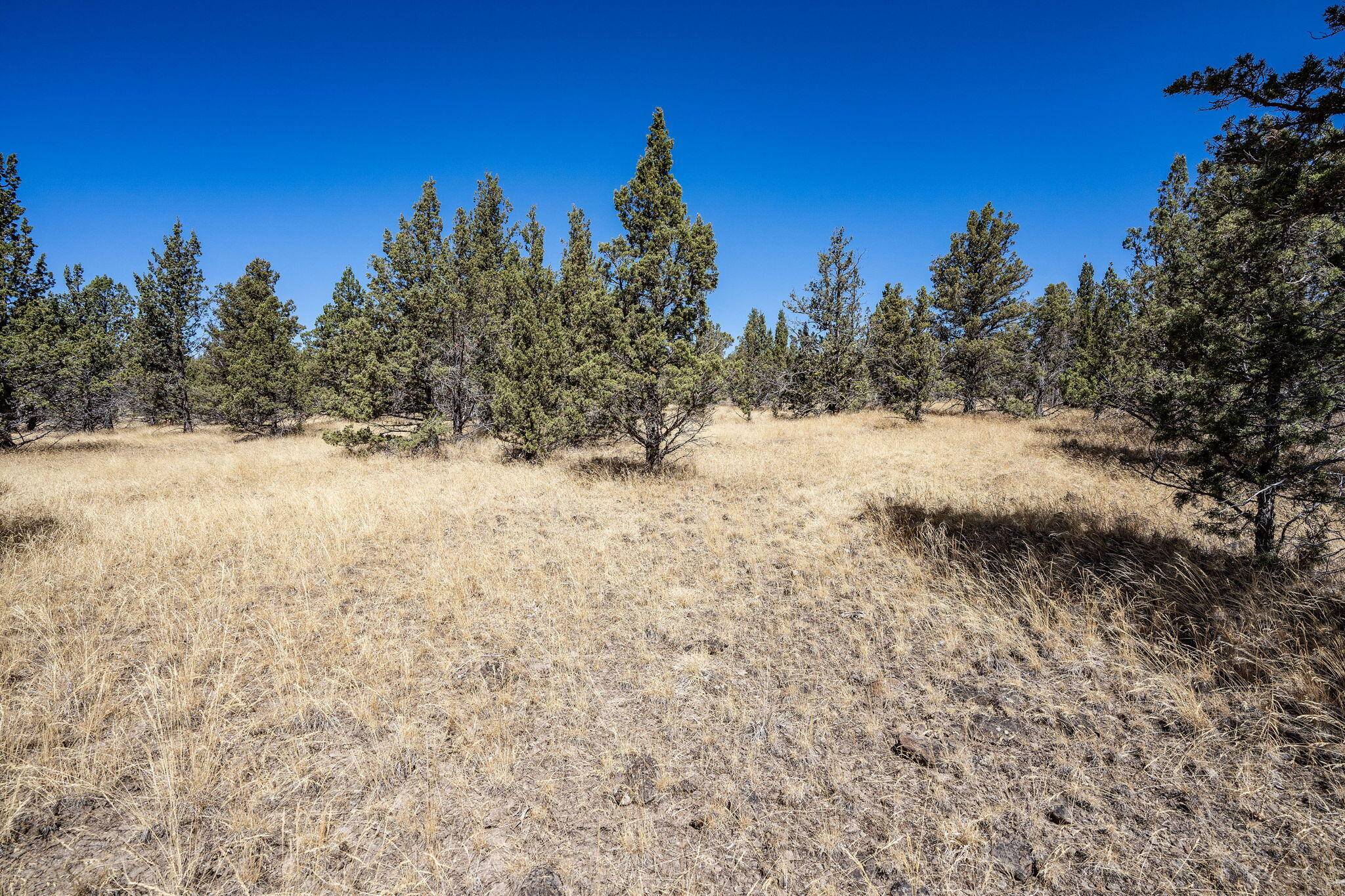 Prineville, OR 97754,Juniper Canyon RD #TBD