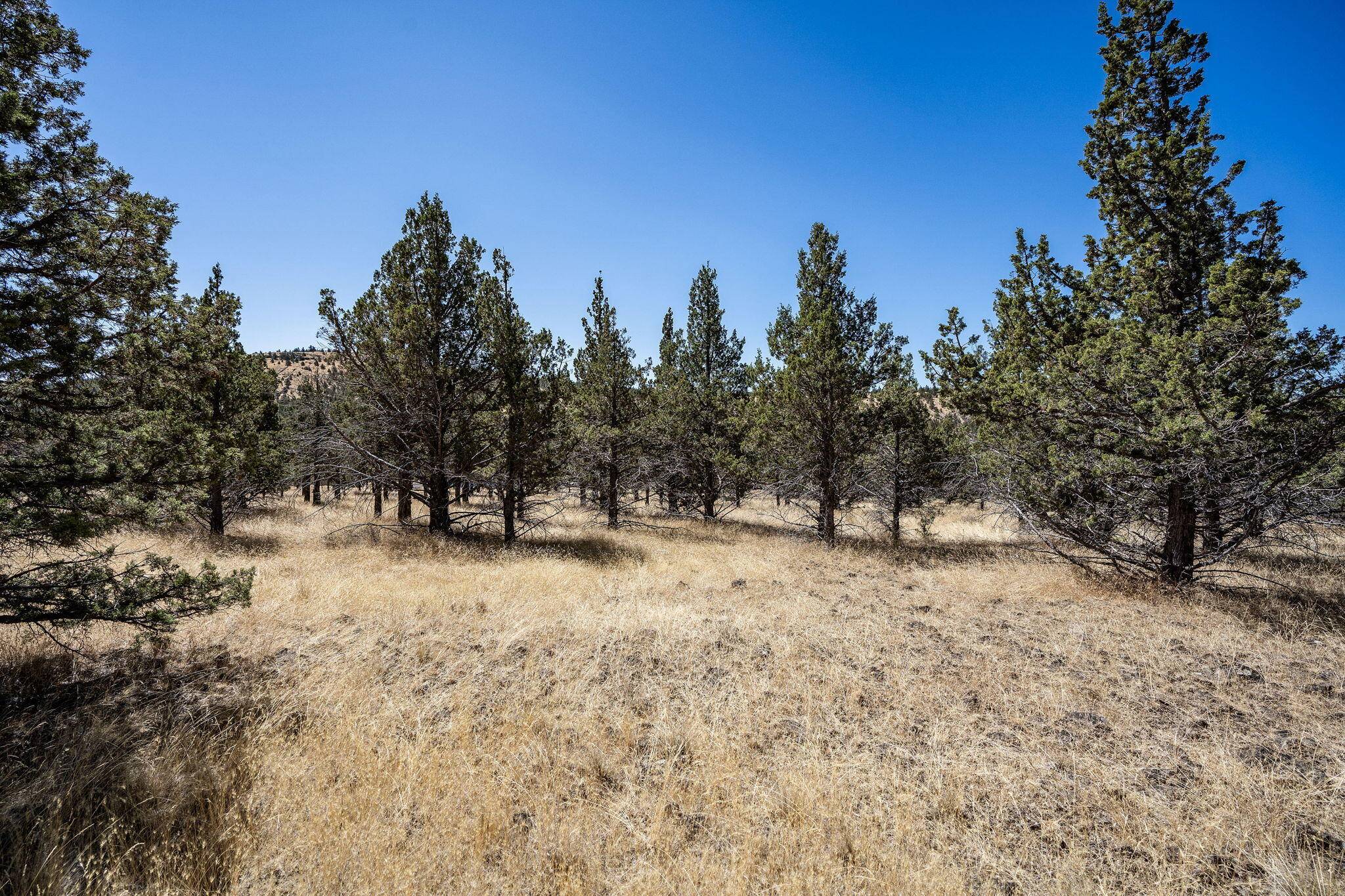 Prineville, OR 97754,Juniper Canyon RD #TBD