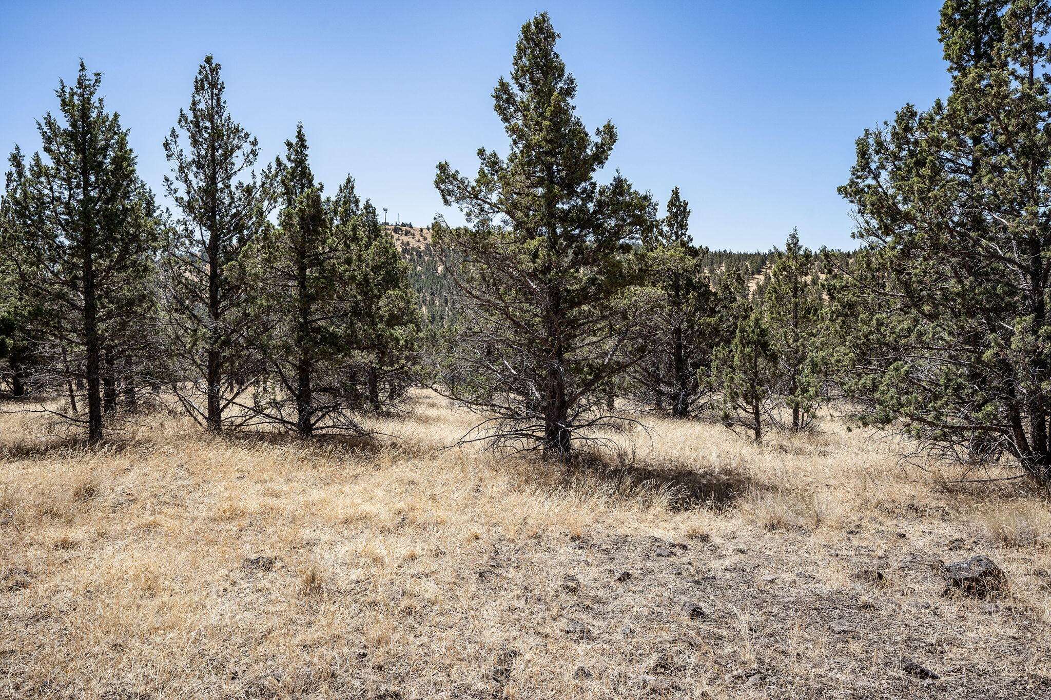 Prineville, OR 97754,Juniper Canyon RD #TBD