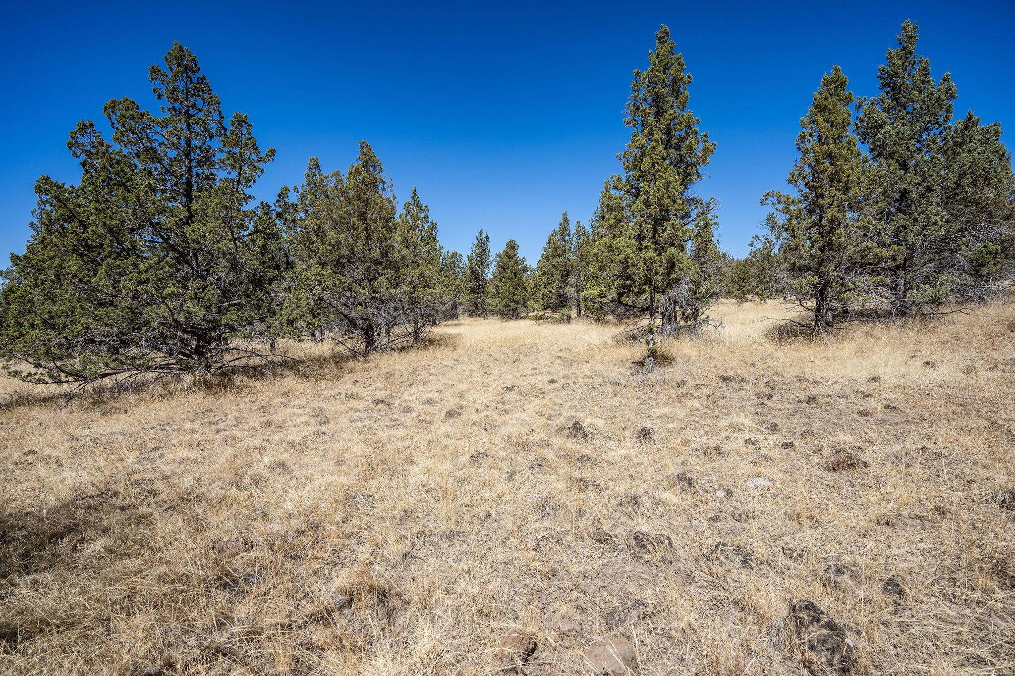 Prineville, OR 97754,Juniper Canyon RD #TBD