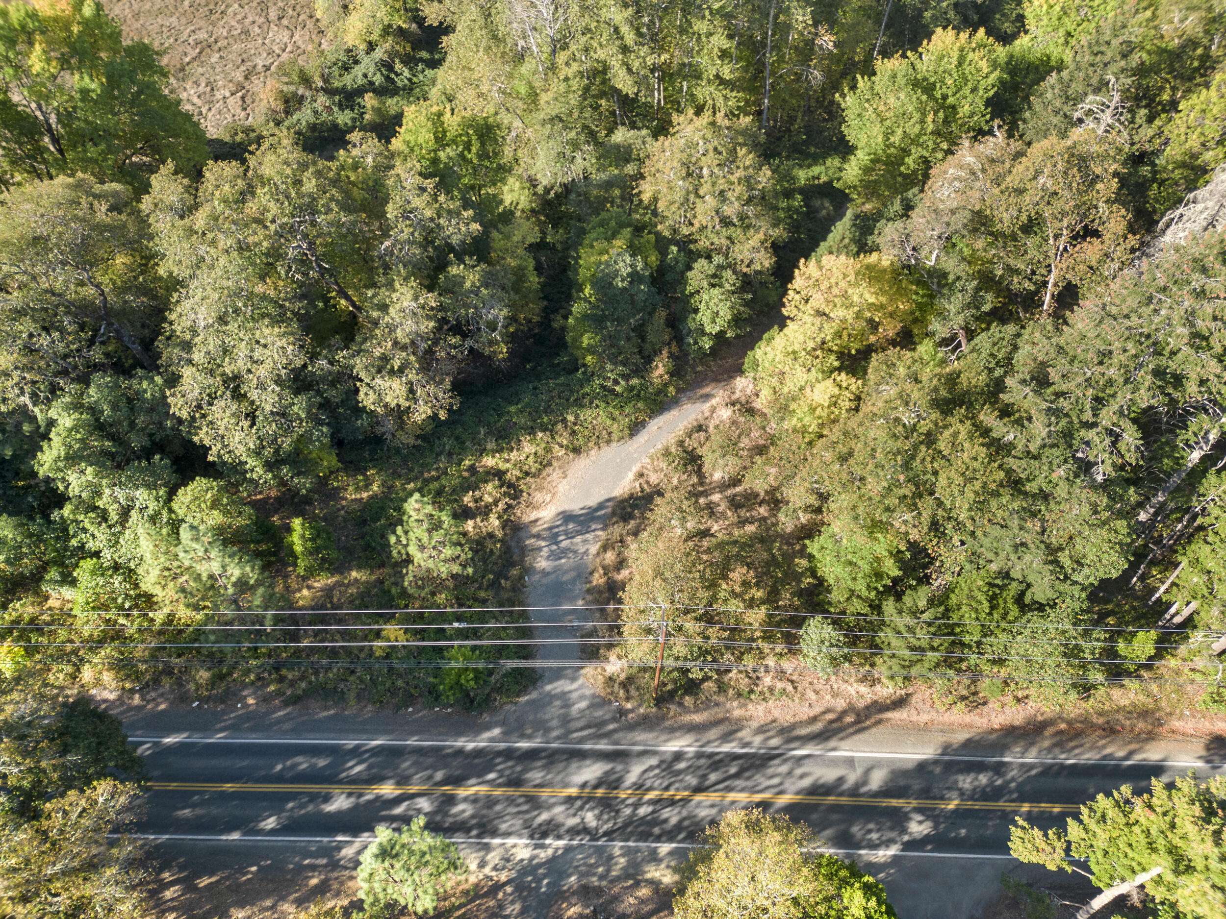 Cave Junction, OR 97523,2350 Holland Loop RD