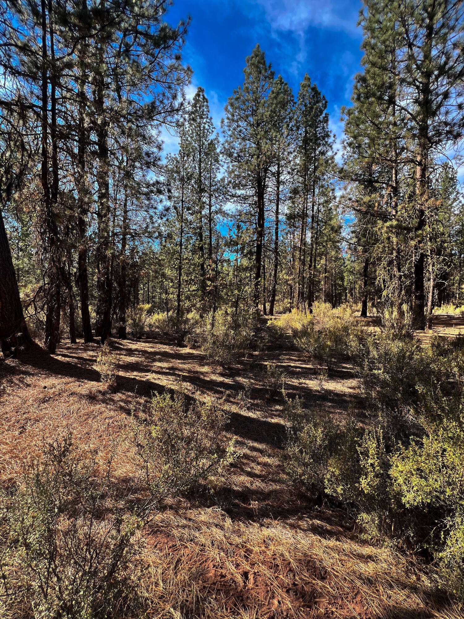 Chiloquin, OR 97624,Solomon DR #10