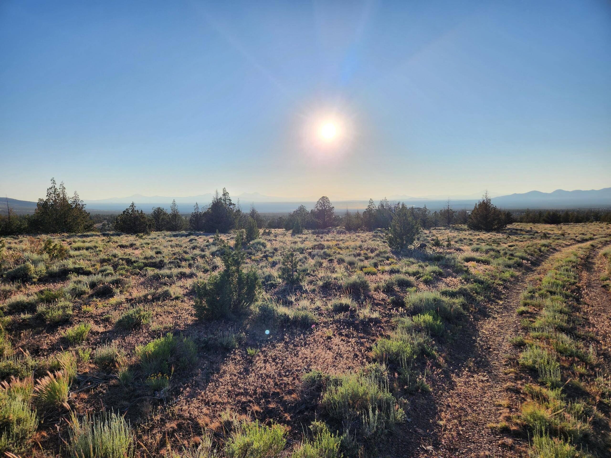 Prineville, OR 97754,0 Bucking Horse LN