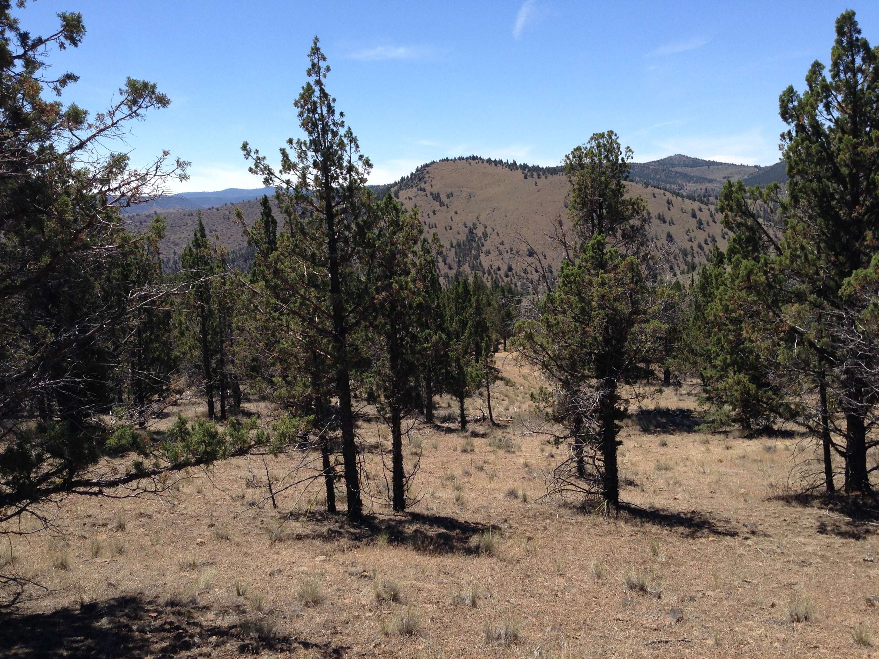 Prineville, OR 97754,Riverside Ranch Lot #69