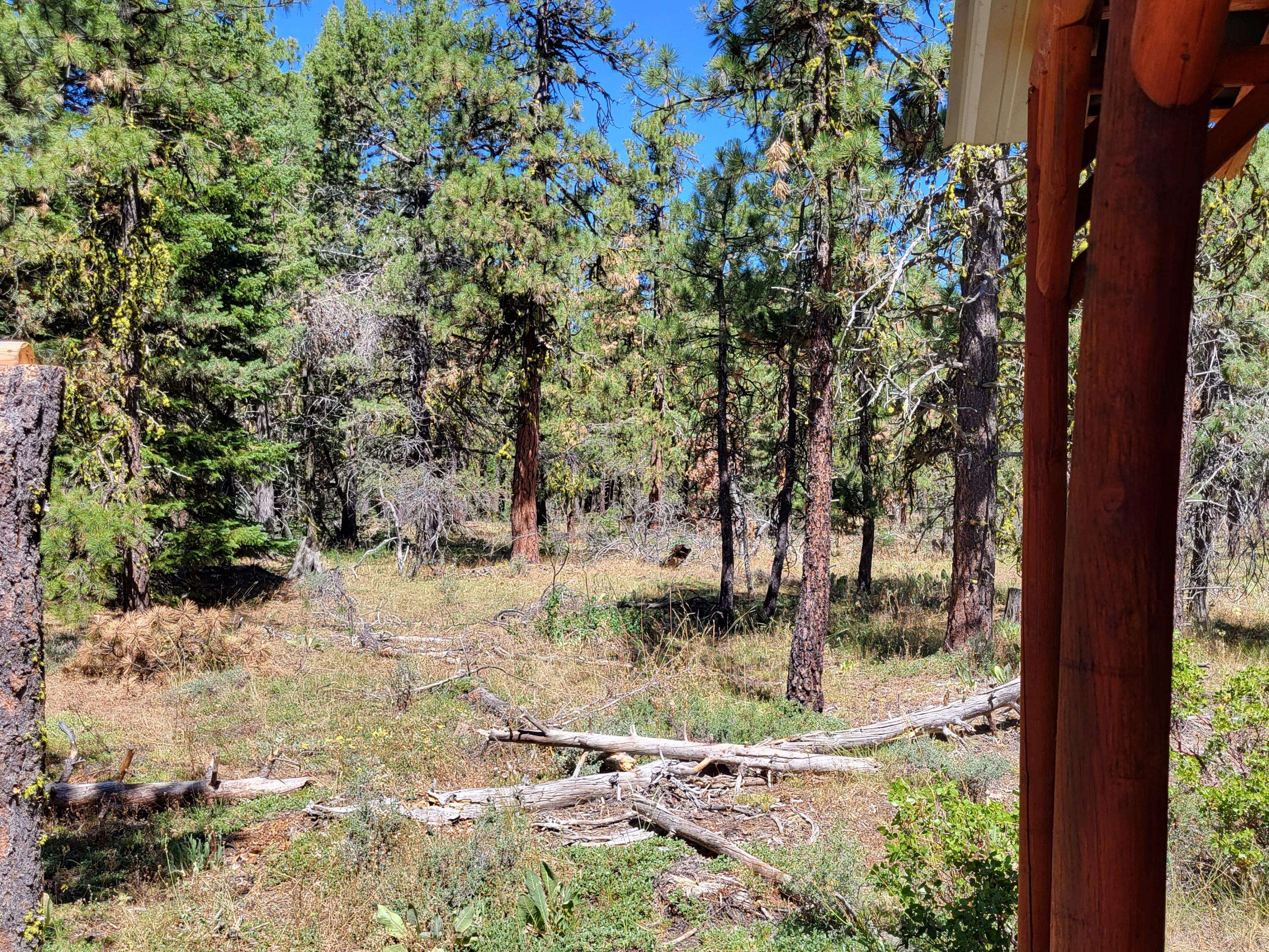 Bonanza, OR 97623,Lot 21 Boar LN