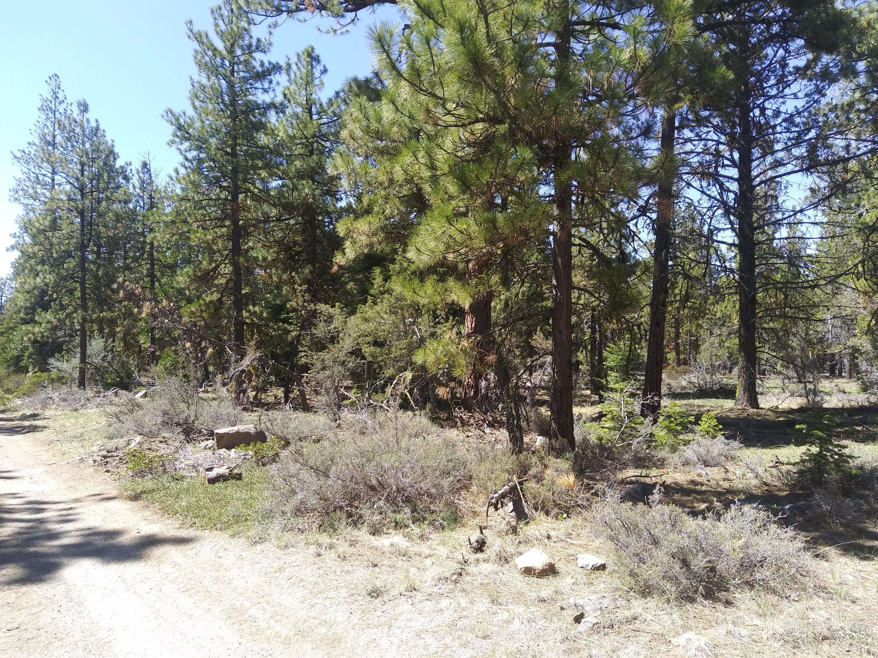 Bonanza, OR 97623,Lot 21 Boar LN