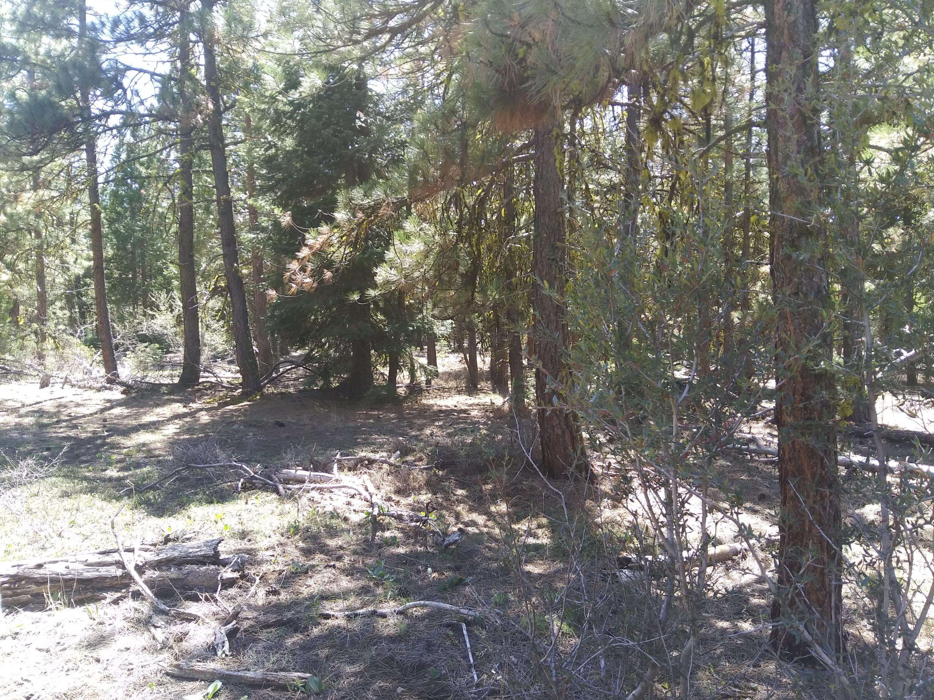 Bonanza, OR 97623,Lot 21 Boar LN