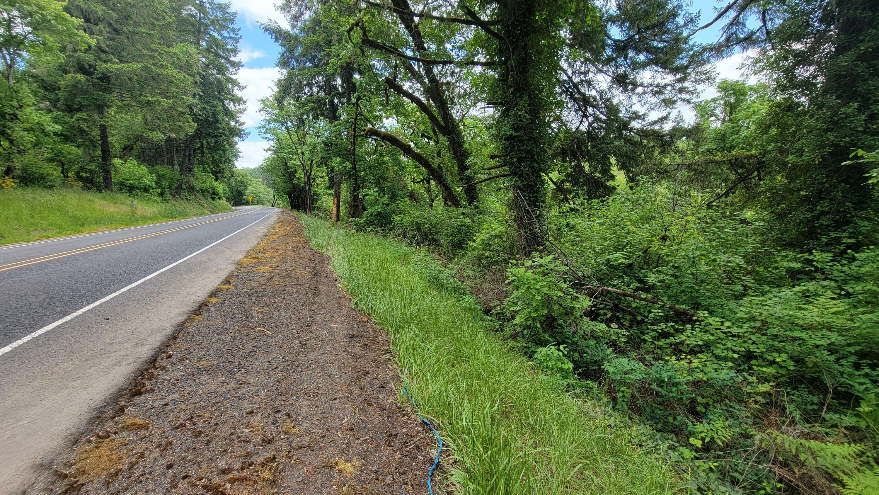 Drain, OR 97435,State Highway 38 #500