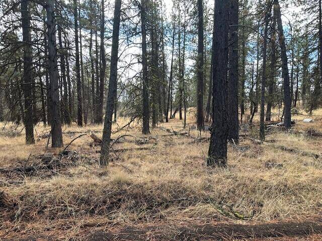 Bonanza, OR 97623,Chicken Hawk DR #Lot 20