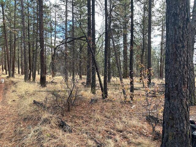 Bonanza, OR 97623,Chicken Hawk DR #Lot 20