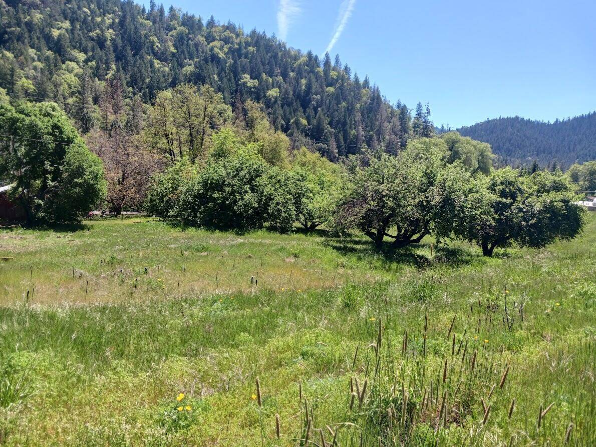 Rogue River, OR 97537,14855 Evan's Creek Road RD