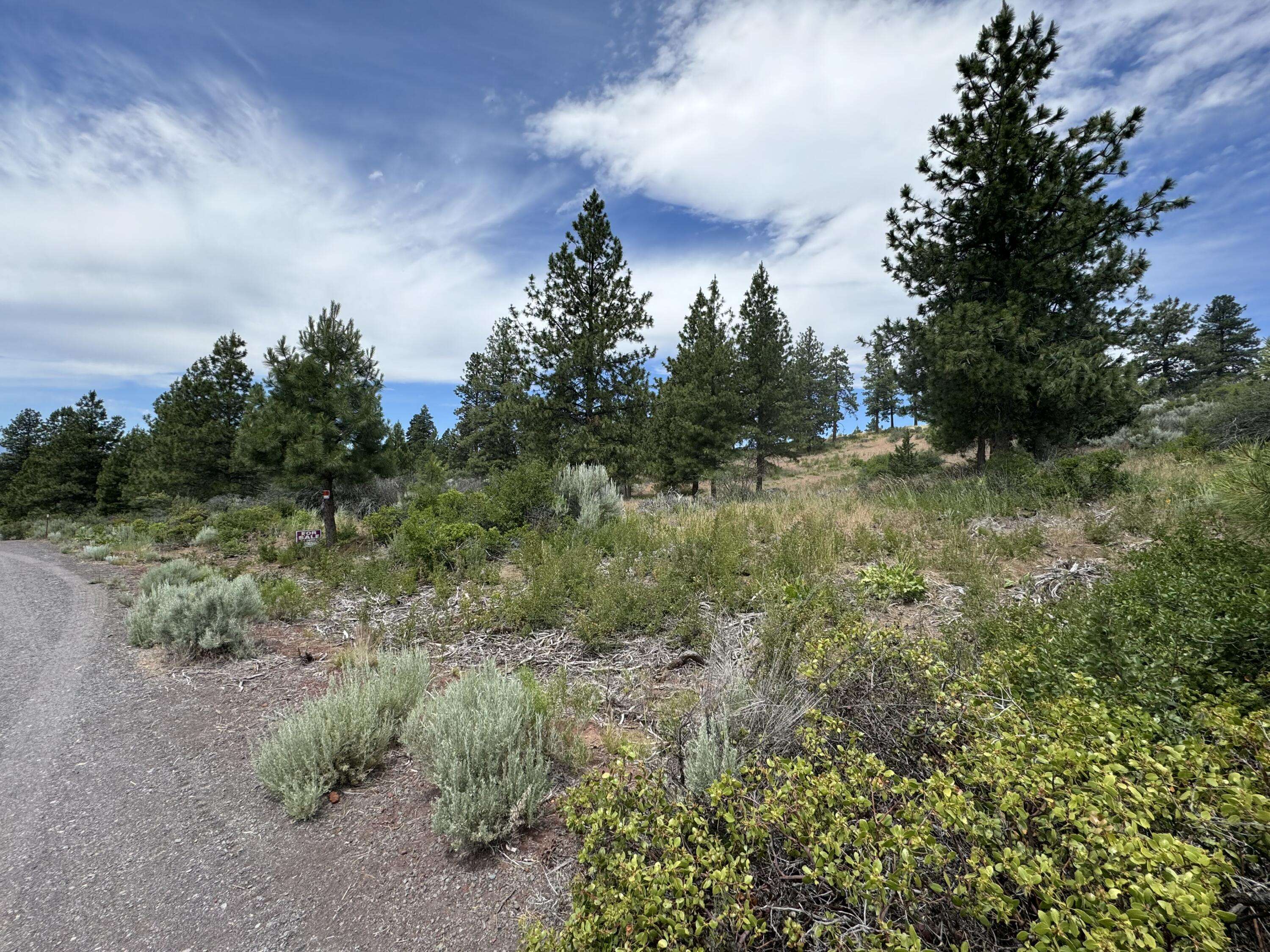 Chiloquin, OR 97624,Legget DR #Lot 24