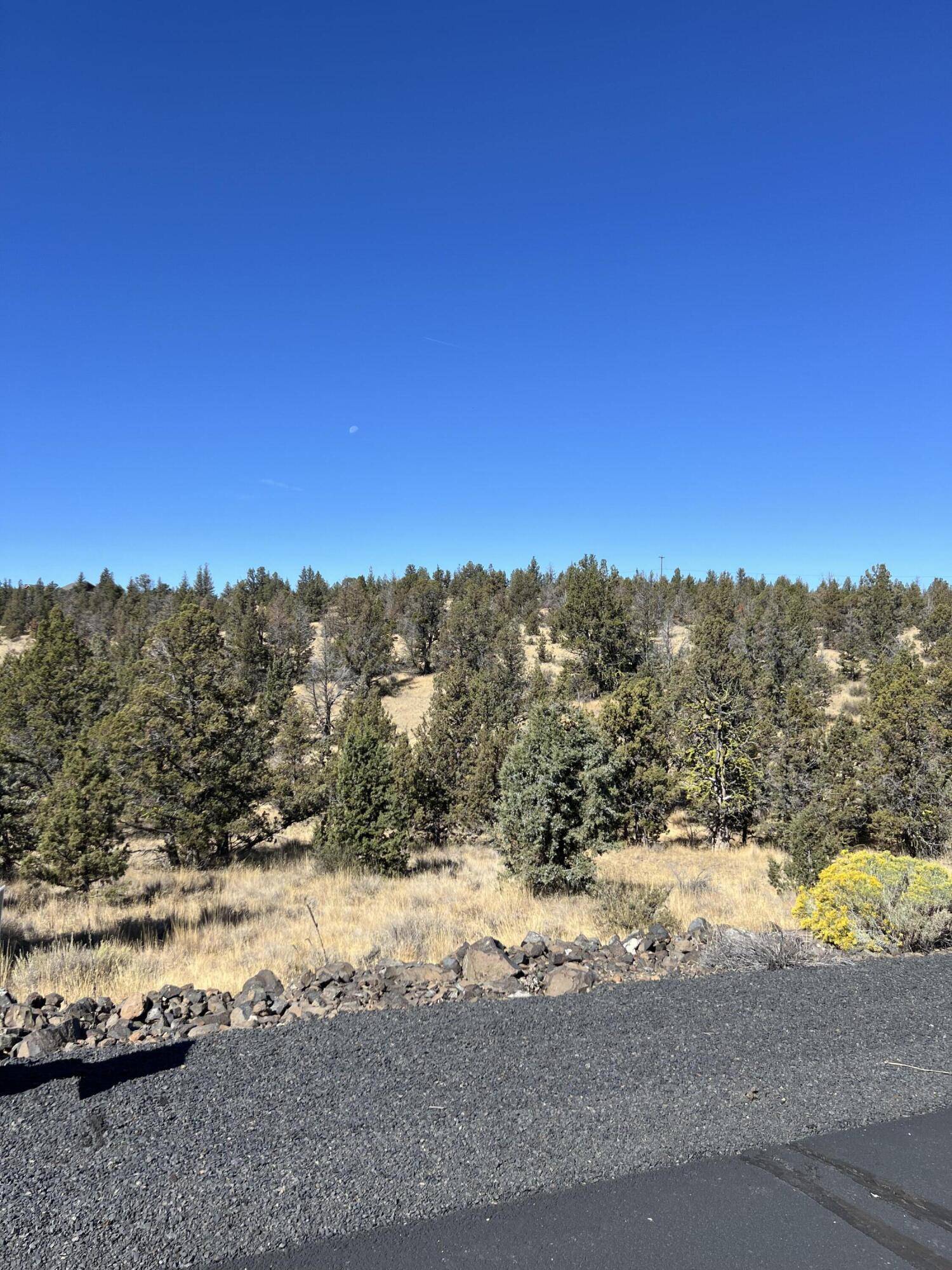 Prineville, OR 97754,9777 Odessa RD