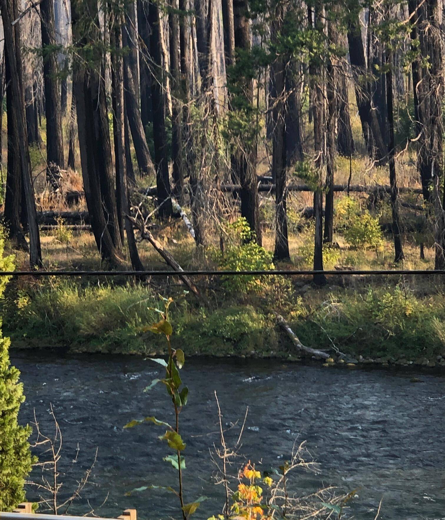 Blue River, OR 97413,91591 Blue River Reservoir RD