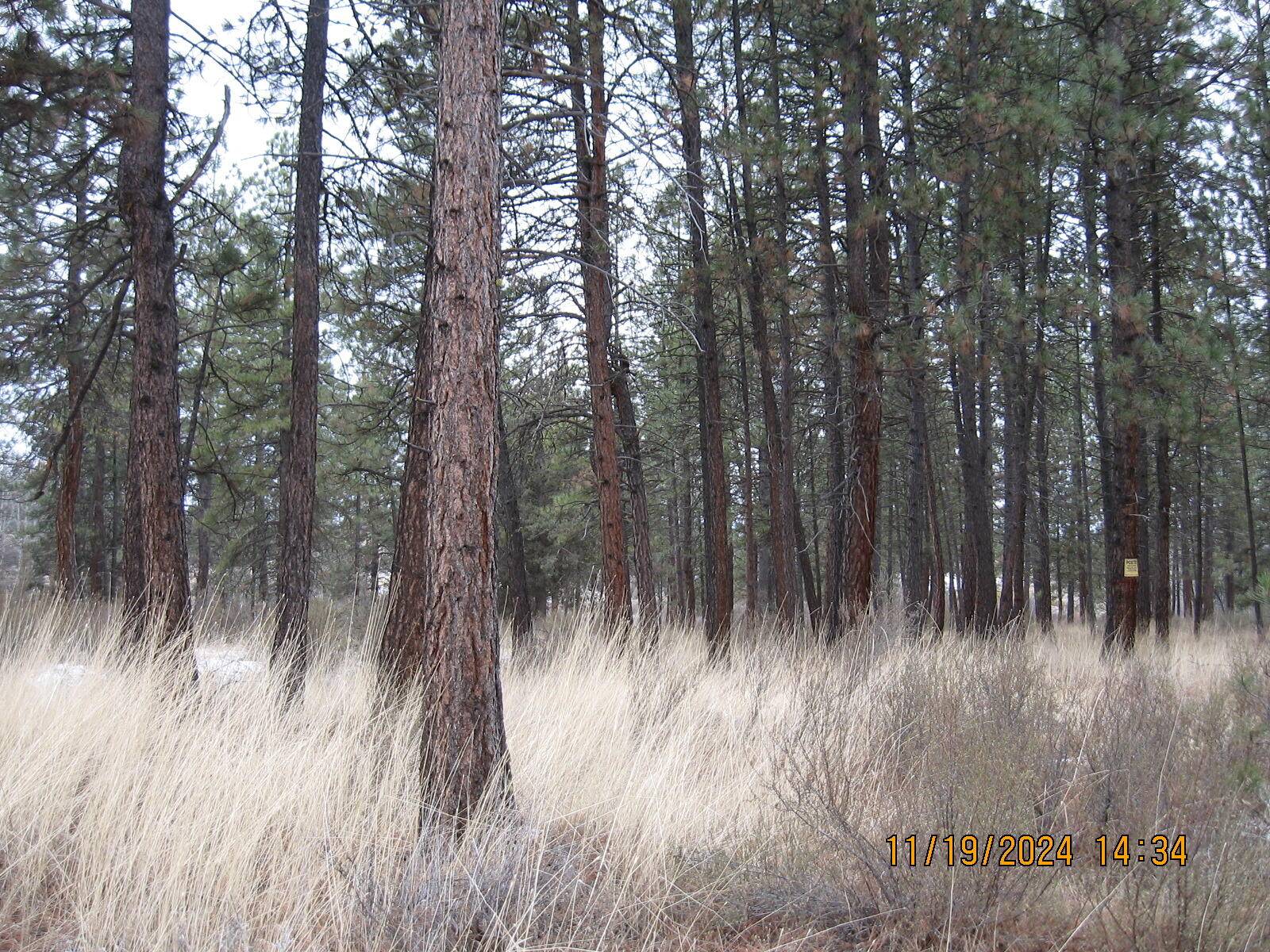 Chiloquin, OR 97624,Lot 22 Brittany WAY