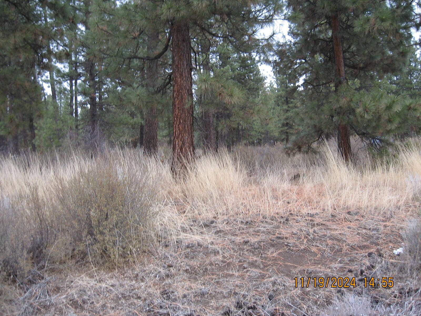 Chiloquin, OR 97624,Lot 28 Brittany WAY