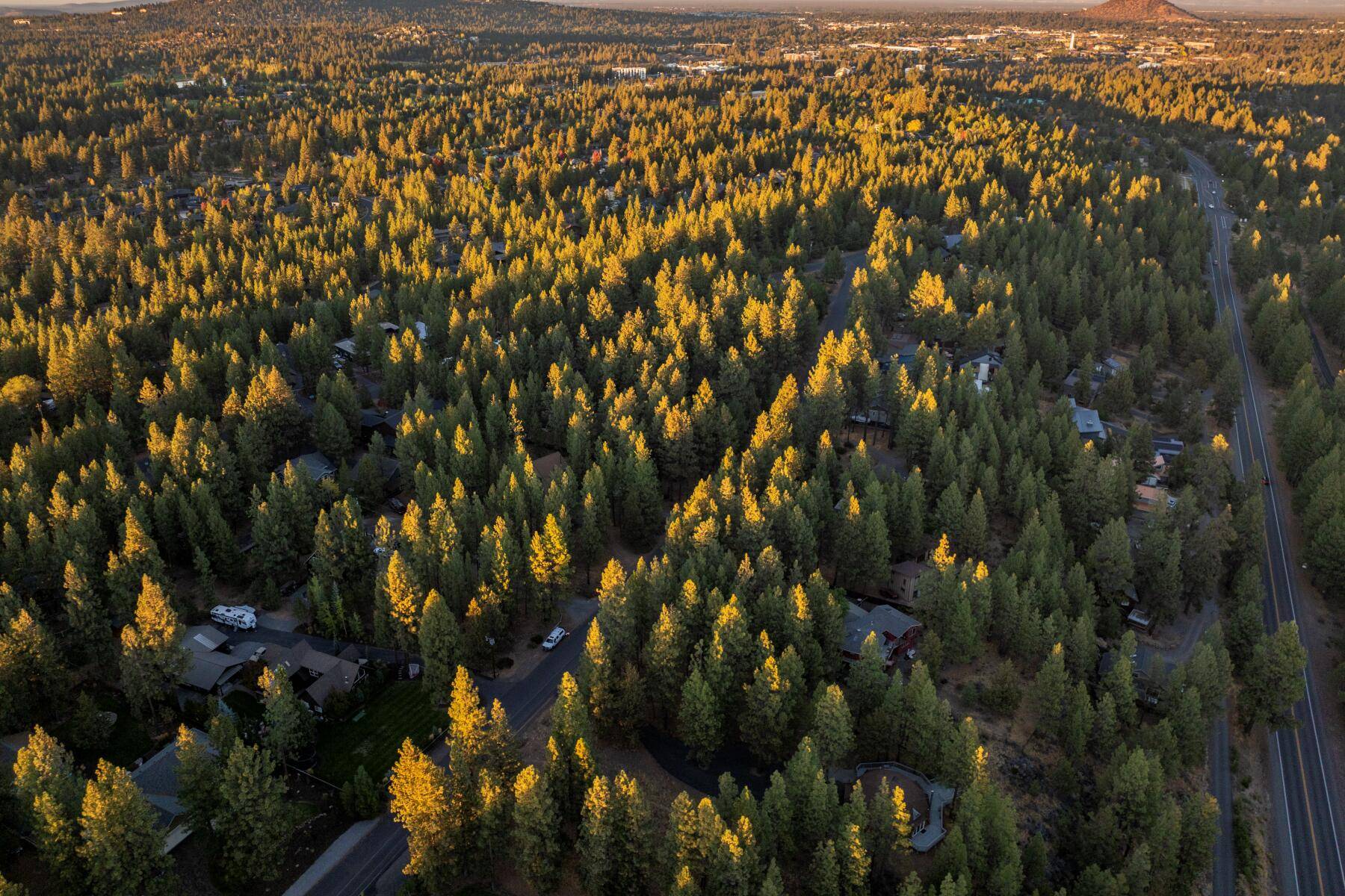 Bend, OR 97702,19464 Campbell RD