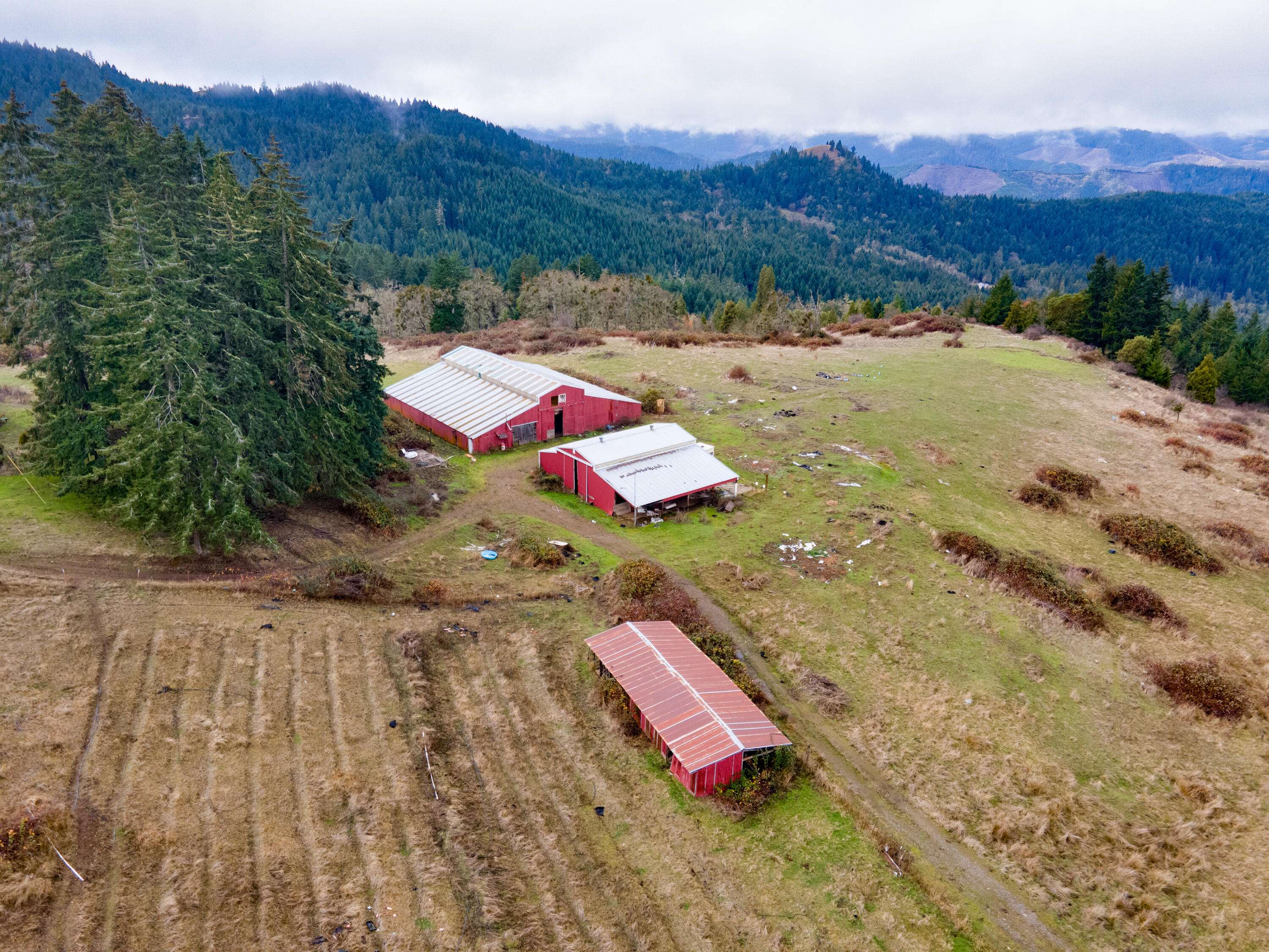 Myrtle Creek, OR 97457,3017 Boomer Hill RD