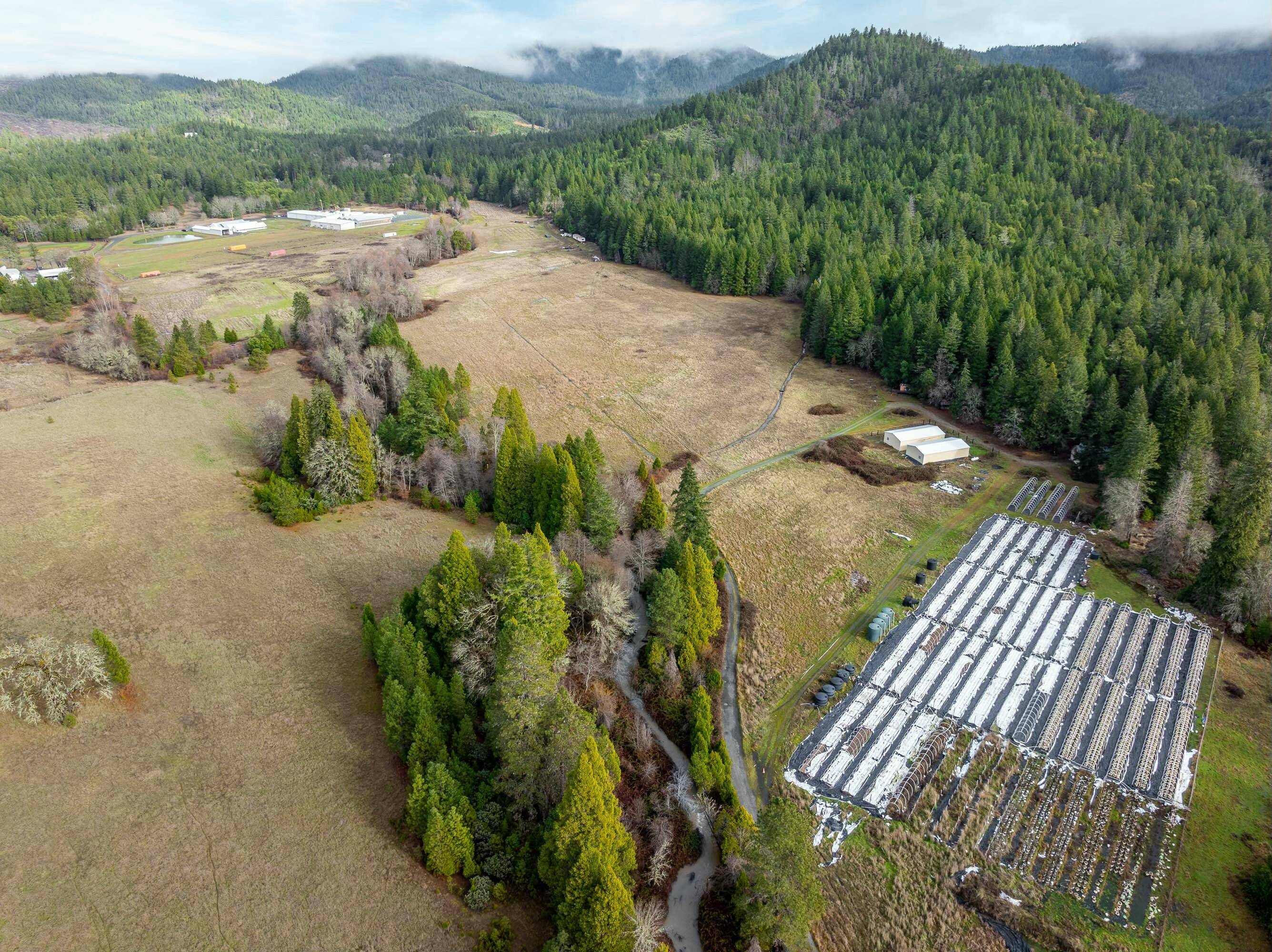 Selma, OR 97538,1491 Draper Valley RD