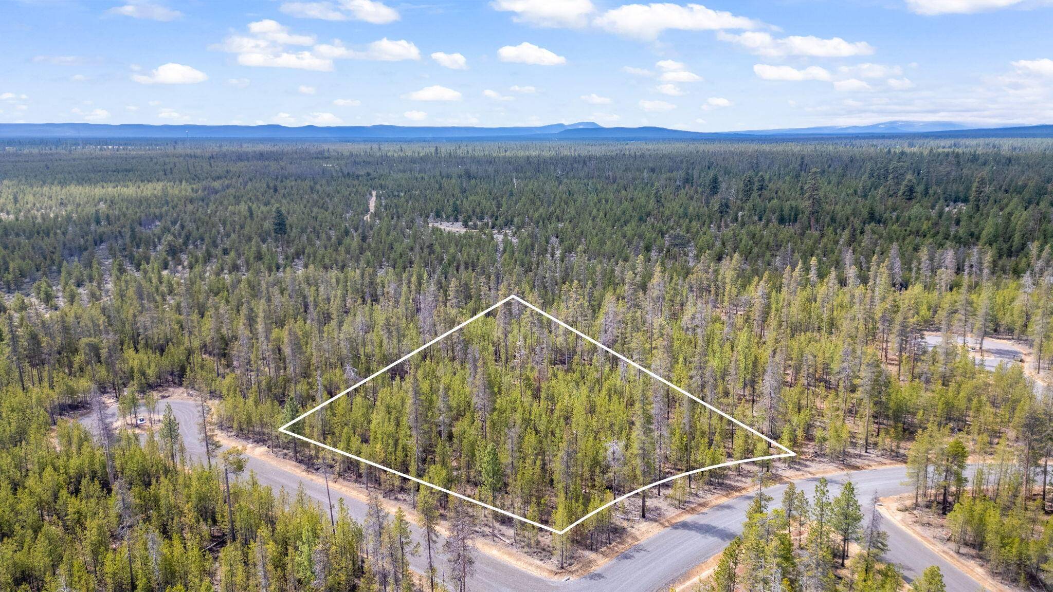 La Pine, OR 97739,TL 09700 Buggy Whip CT #6