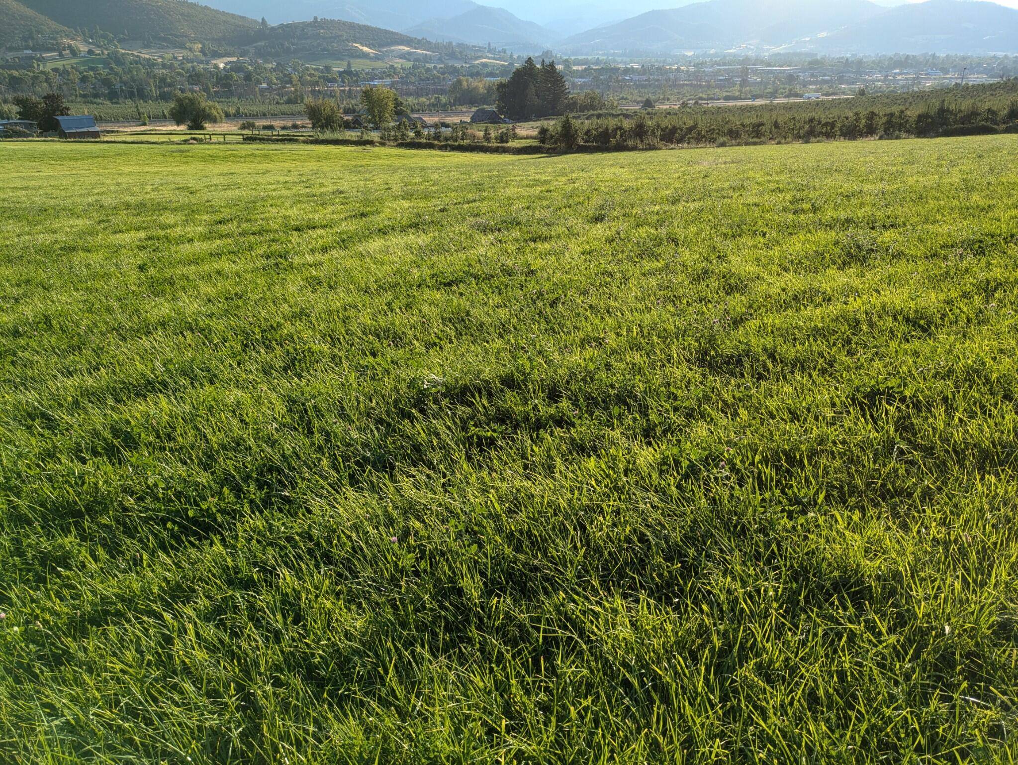 Ashland, OR 97520,949 Valley View RD