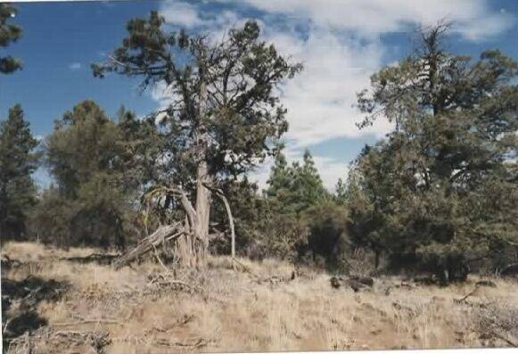 Bonanza, OR 97623,Wildhorse DR #6