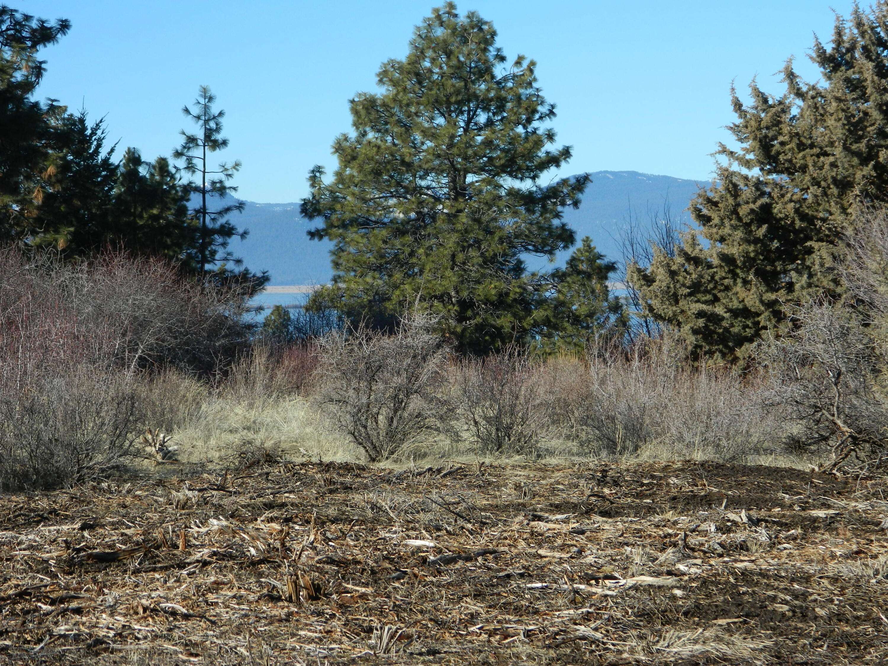 Chiloquin, OR 97624,0 Ranch RD