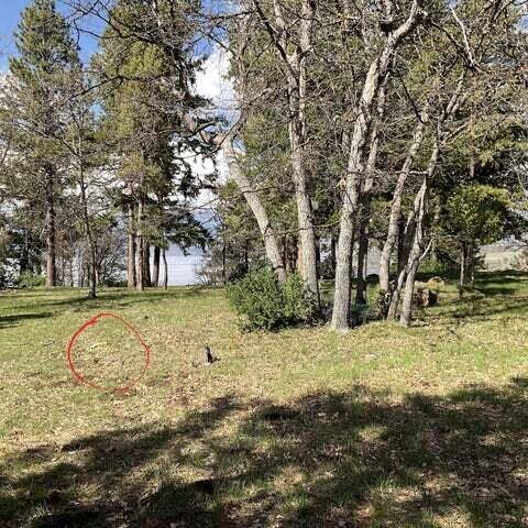 Klamath Falls, OR 97601,Finch CT #Lot 178