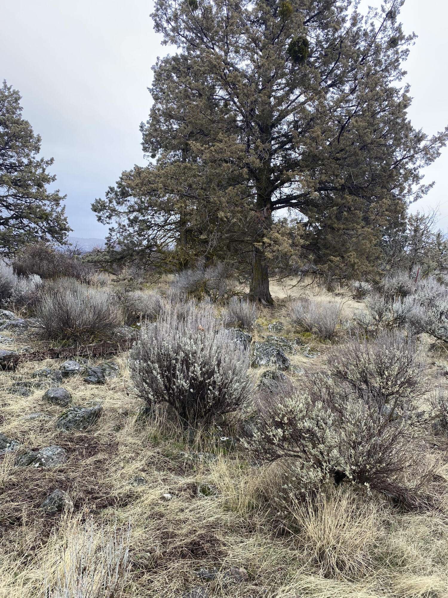 Klamath Falls, OR 97601,00000 Sunset Ridge RD
