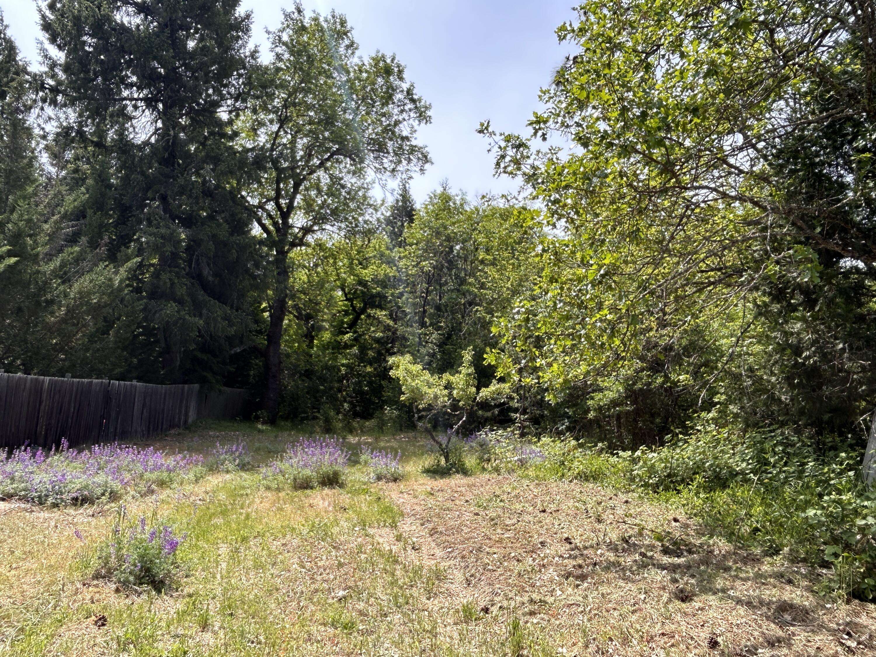 Williams, OR 97544,1773 Cedar Flat RD