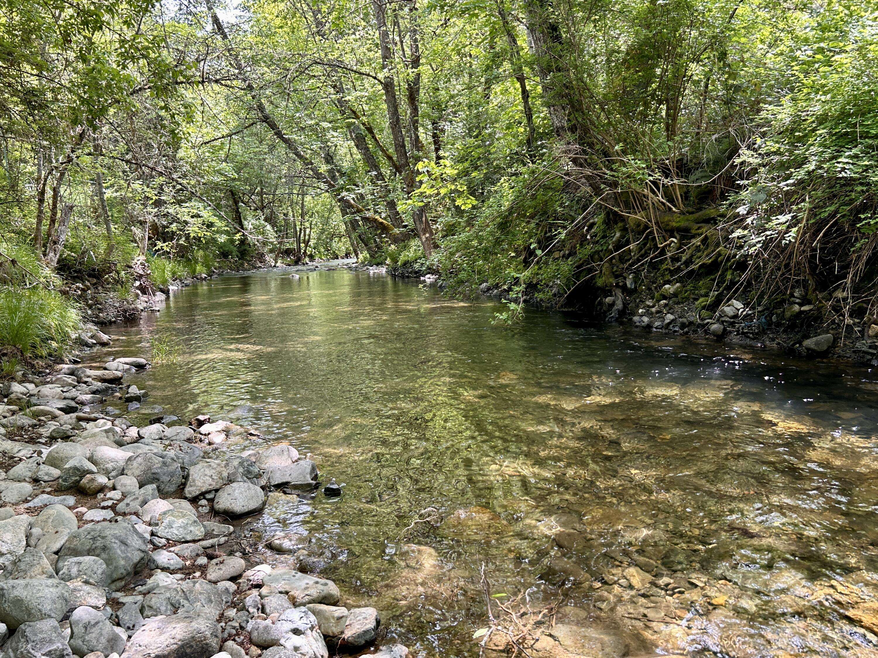 Williams, OR 97544,1773 Cedar Flat RD