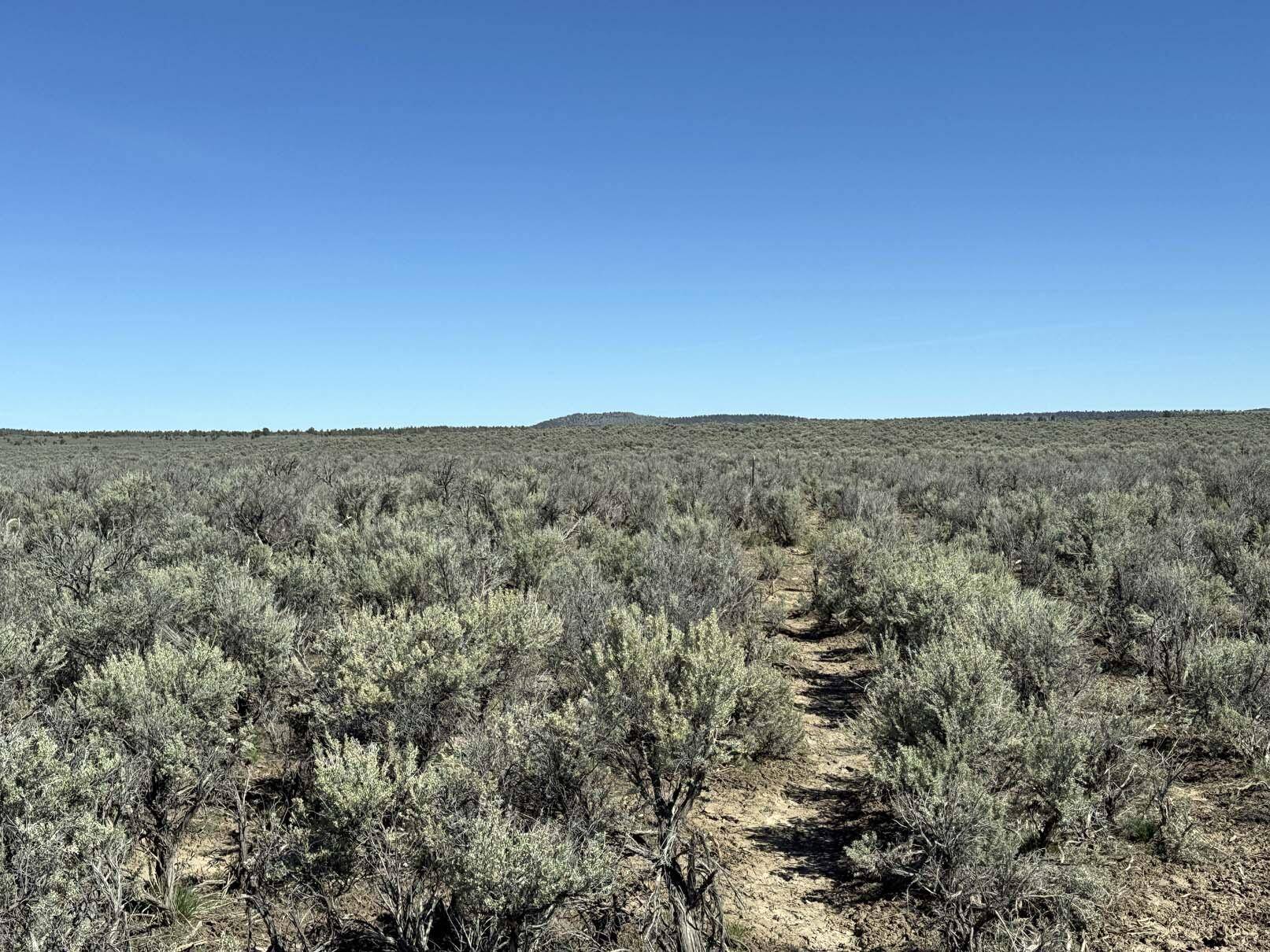 Christmas Valley, OR 97641,Browns Valley RD #TL 1402
