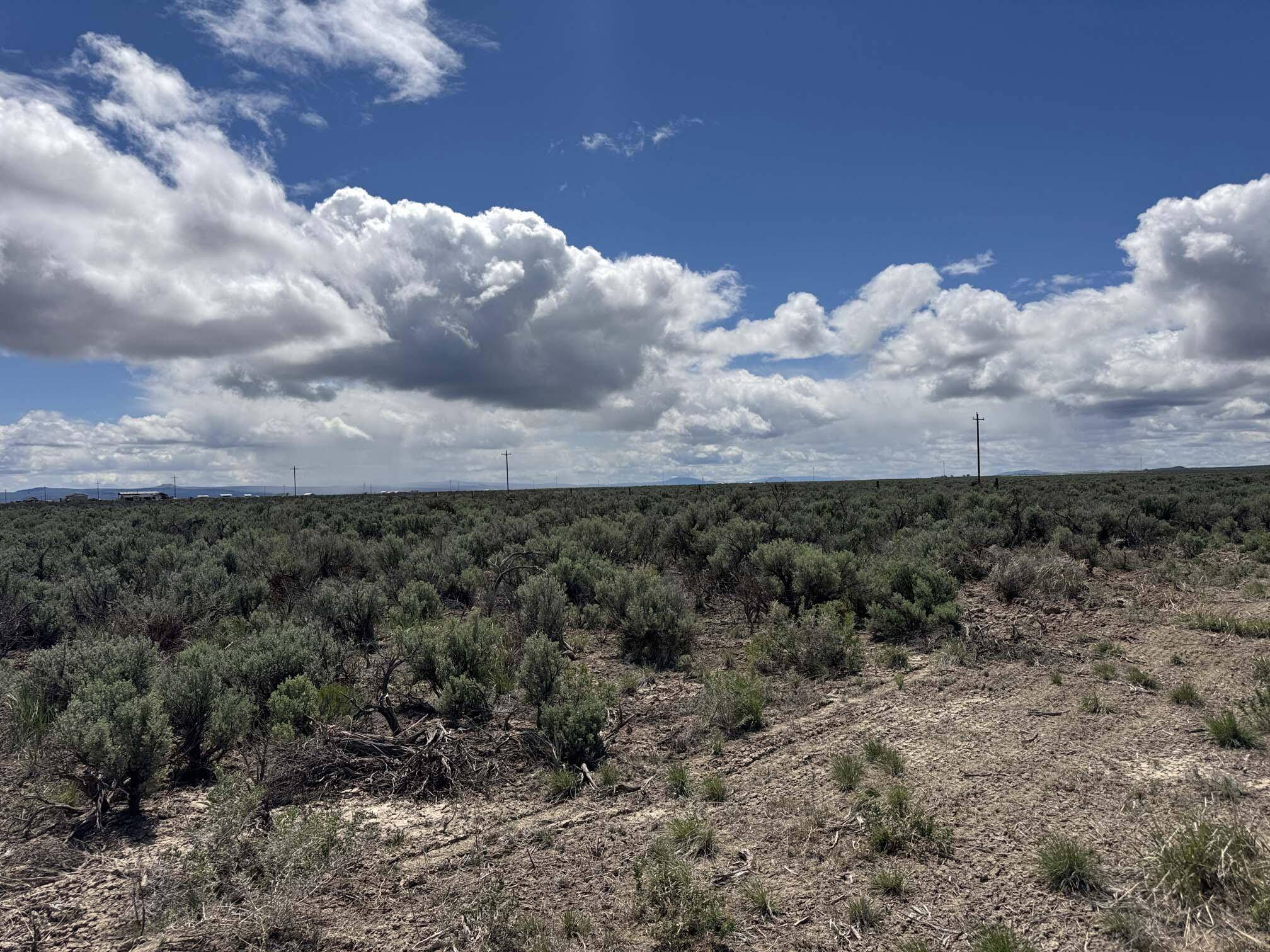 Christmas Valley, OR 97641,Lost Forest LN #5300