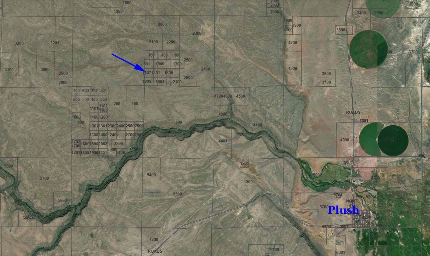 Plush, OR 97637,Off Hogsback RD #TL 1807