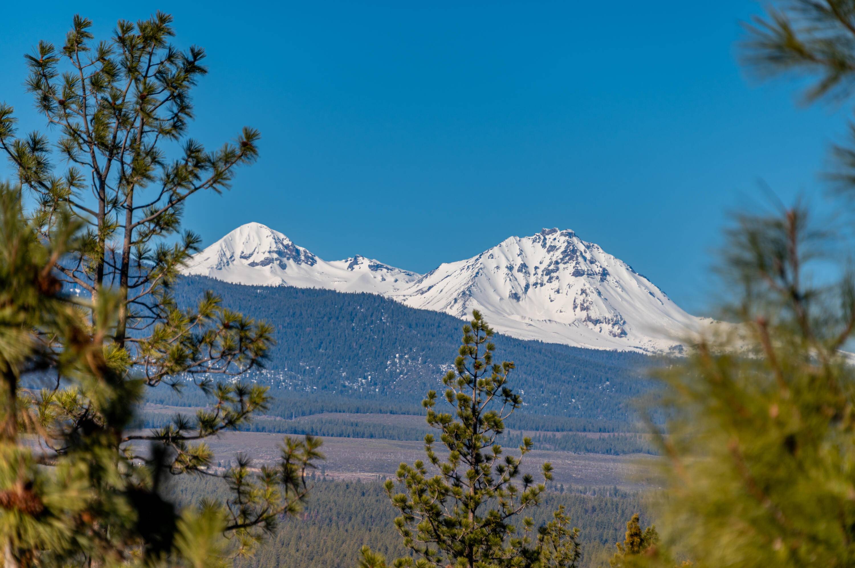 Bend, OR 97703,1945 Sun Ray CT