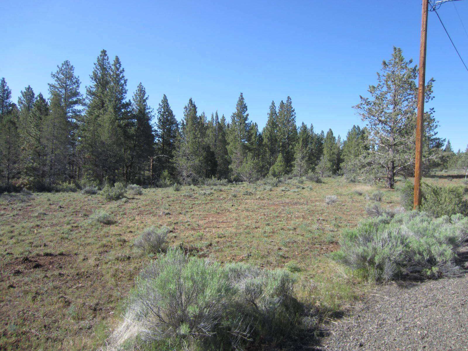 Bly, OR 97622,Lot 26 Kotya LN