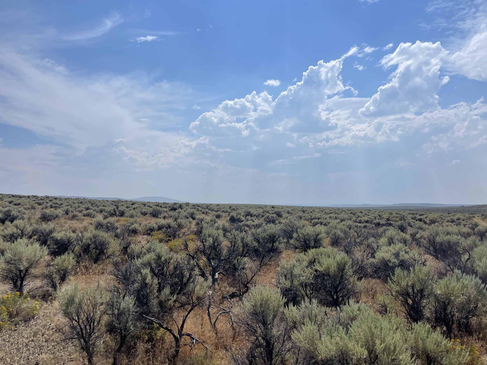 Christmas Valley, OR 97641,Christmas Valley HWY #TL 00400