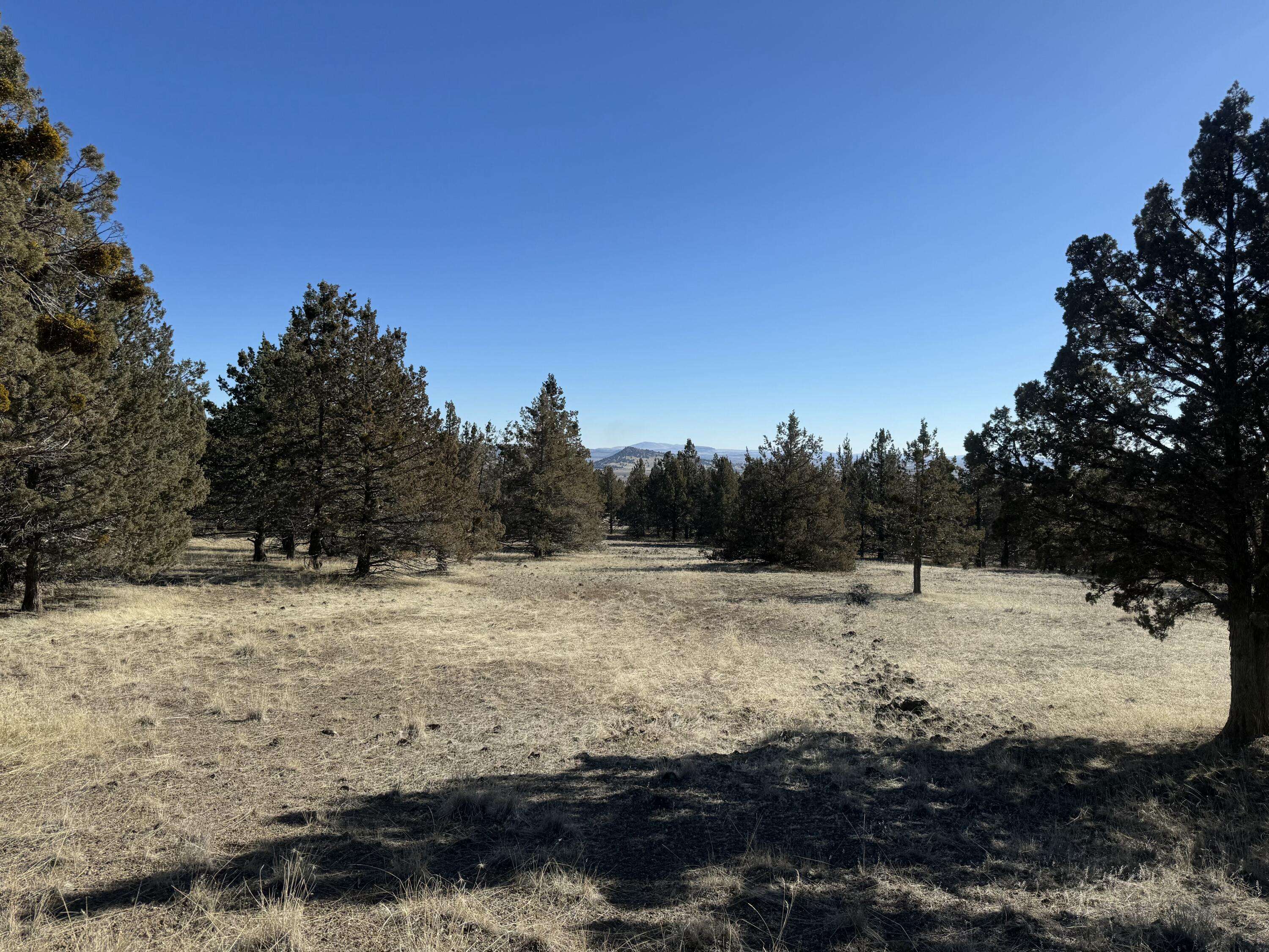 Malin, OR 97632,0 Harpold RD #627398